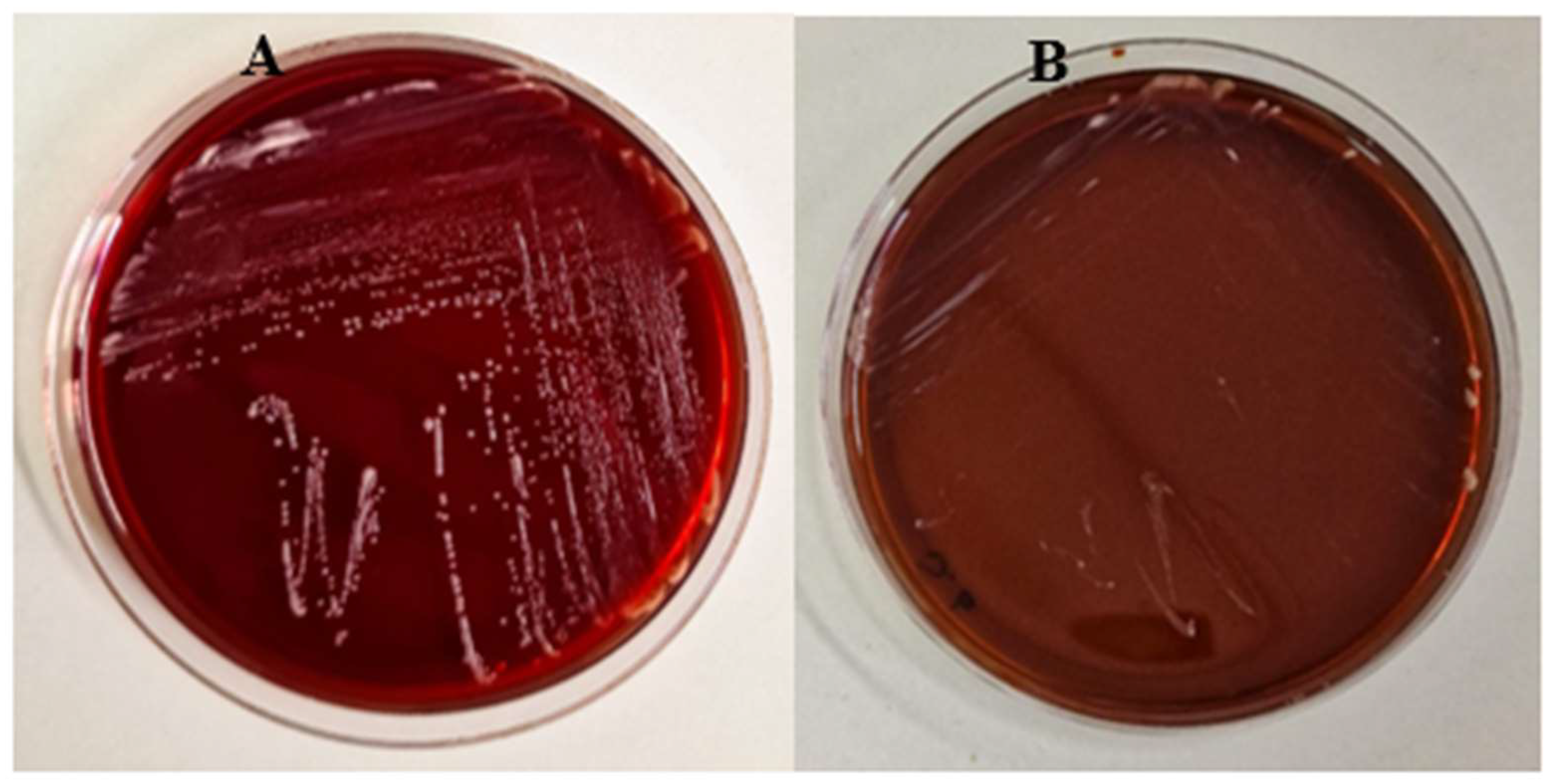 Preprints 146430 g002