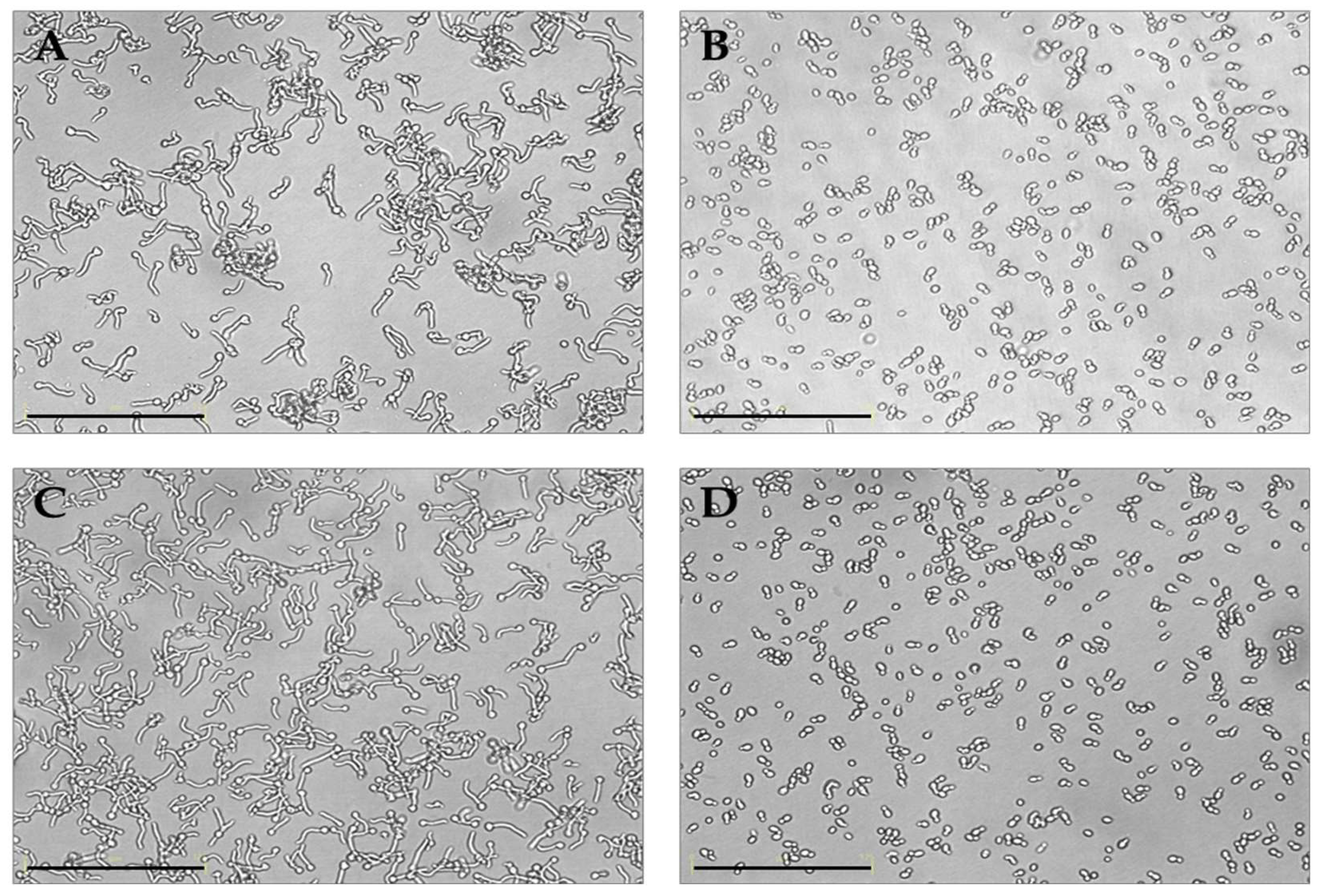 Preprints 146430 g004