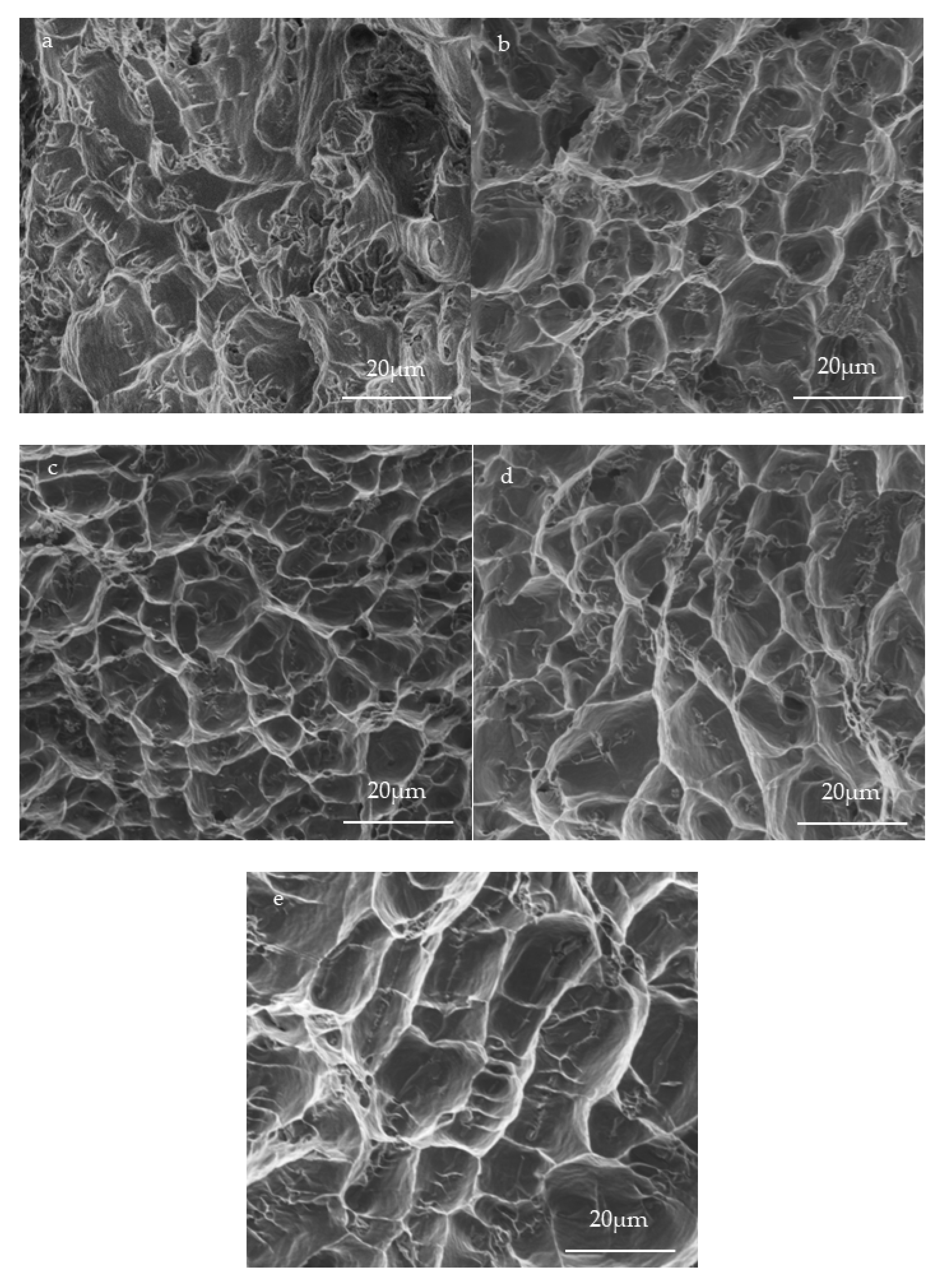 Preprints 190328 g009