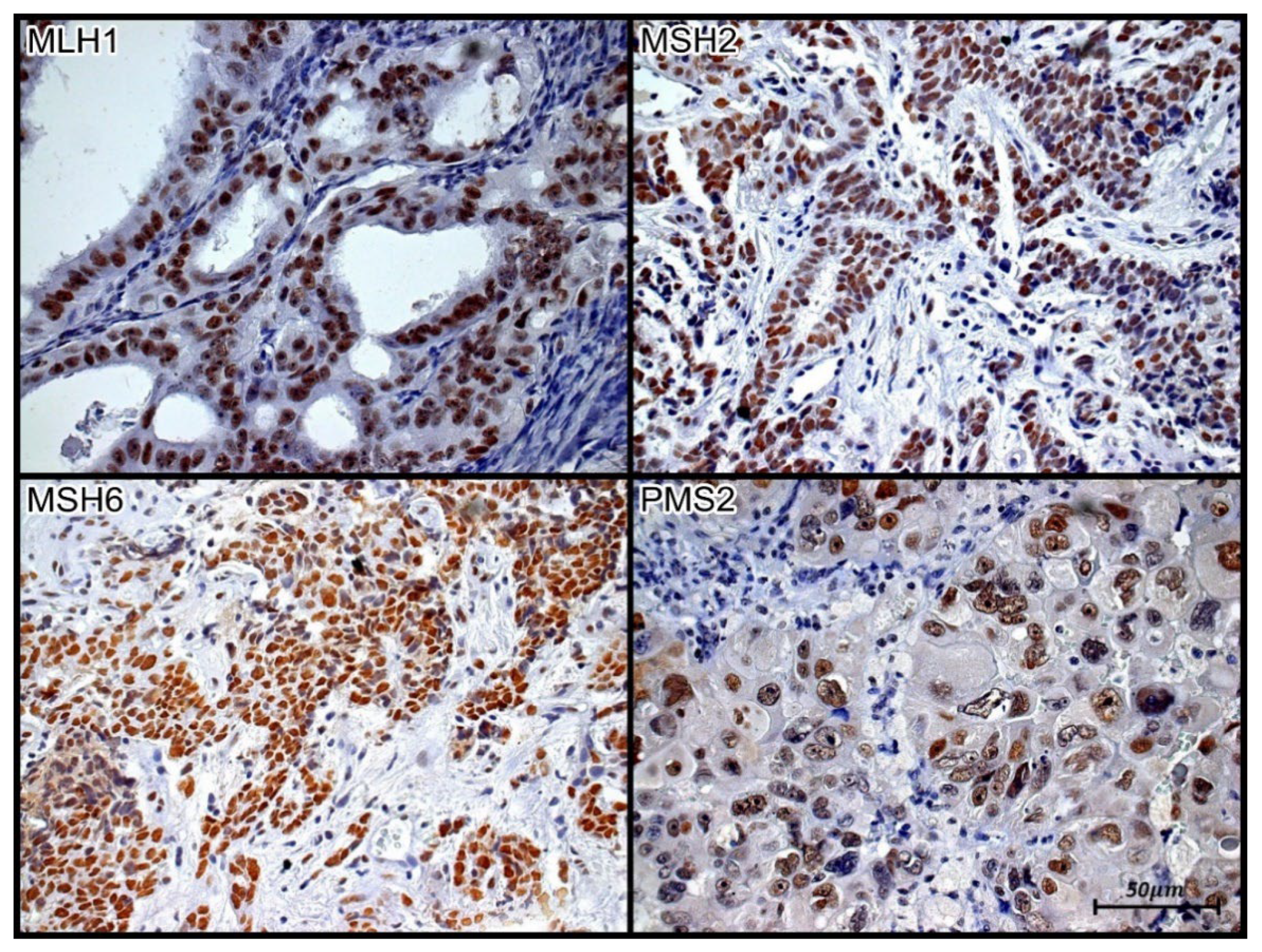 Preprints 72501 g002