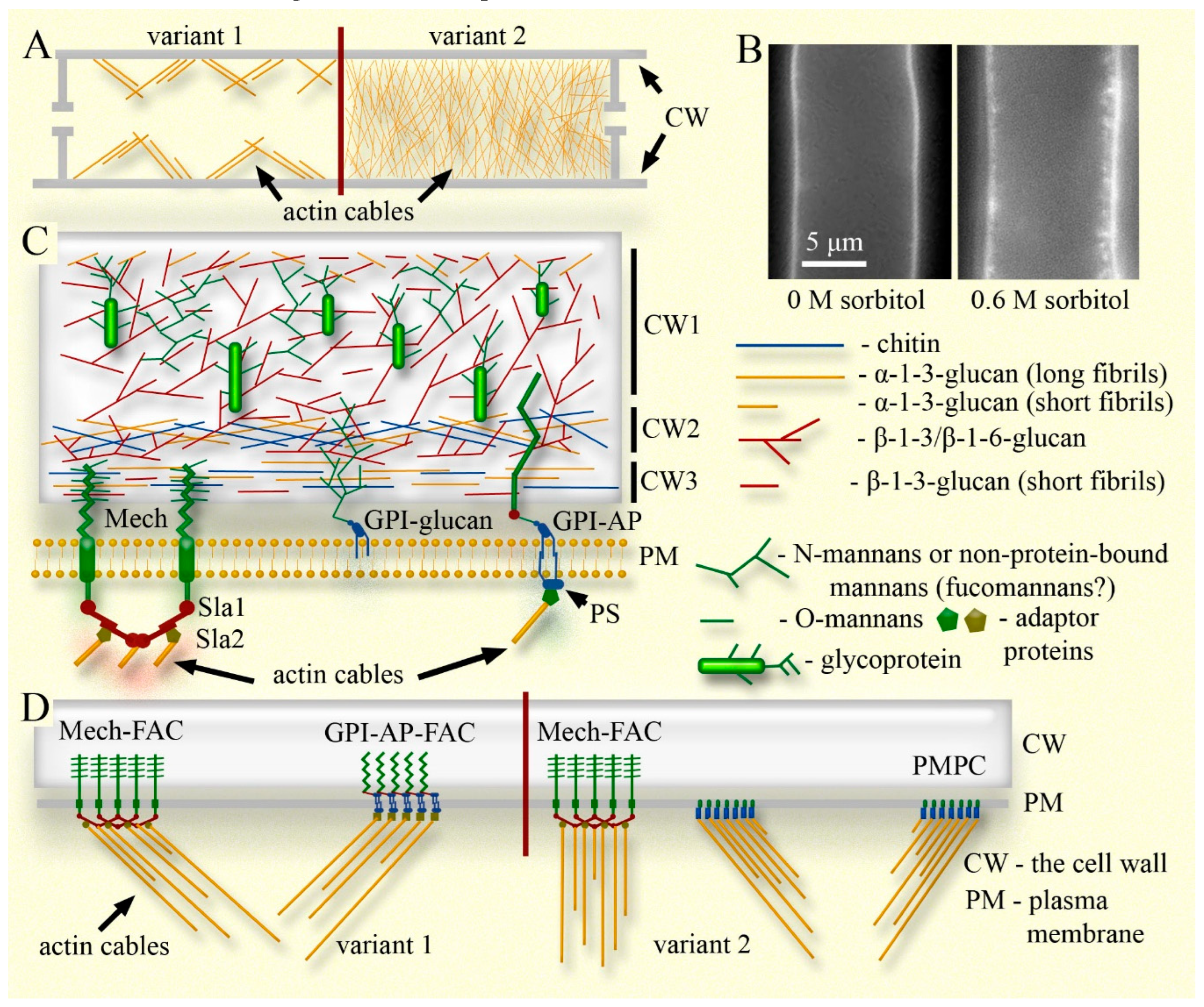 Preprints 141277 g001