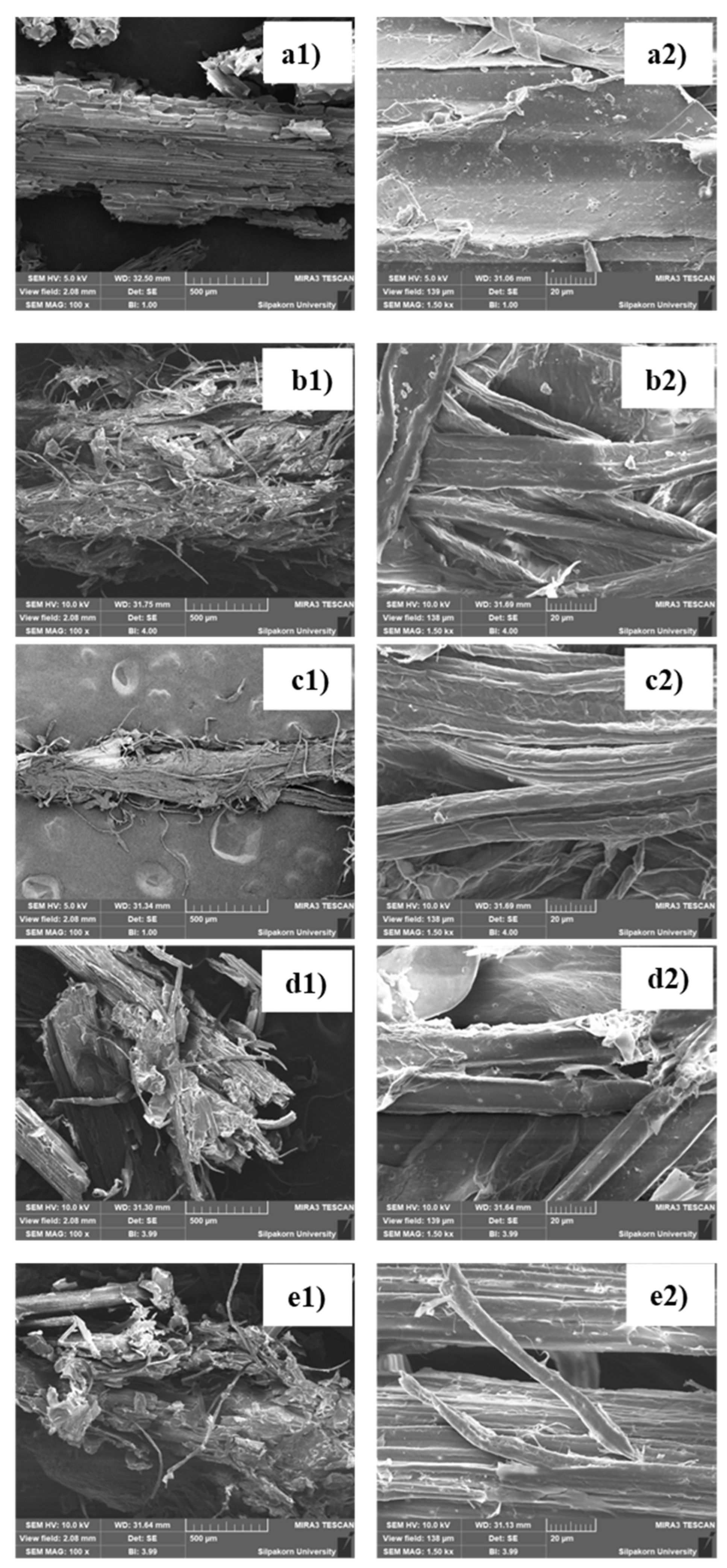 Preprints 156782 g004