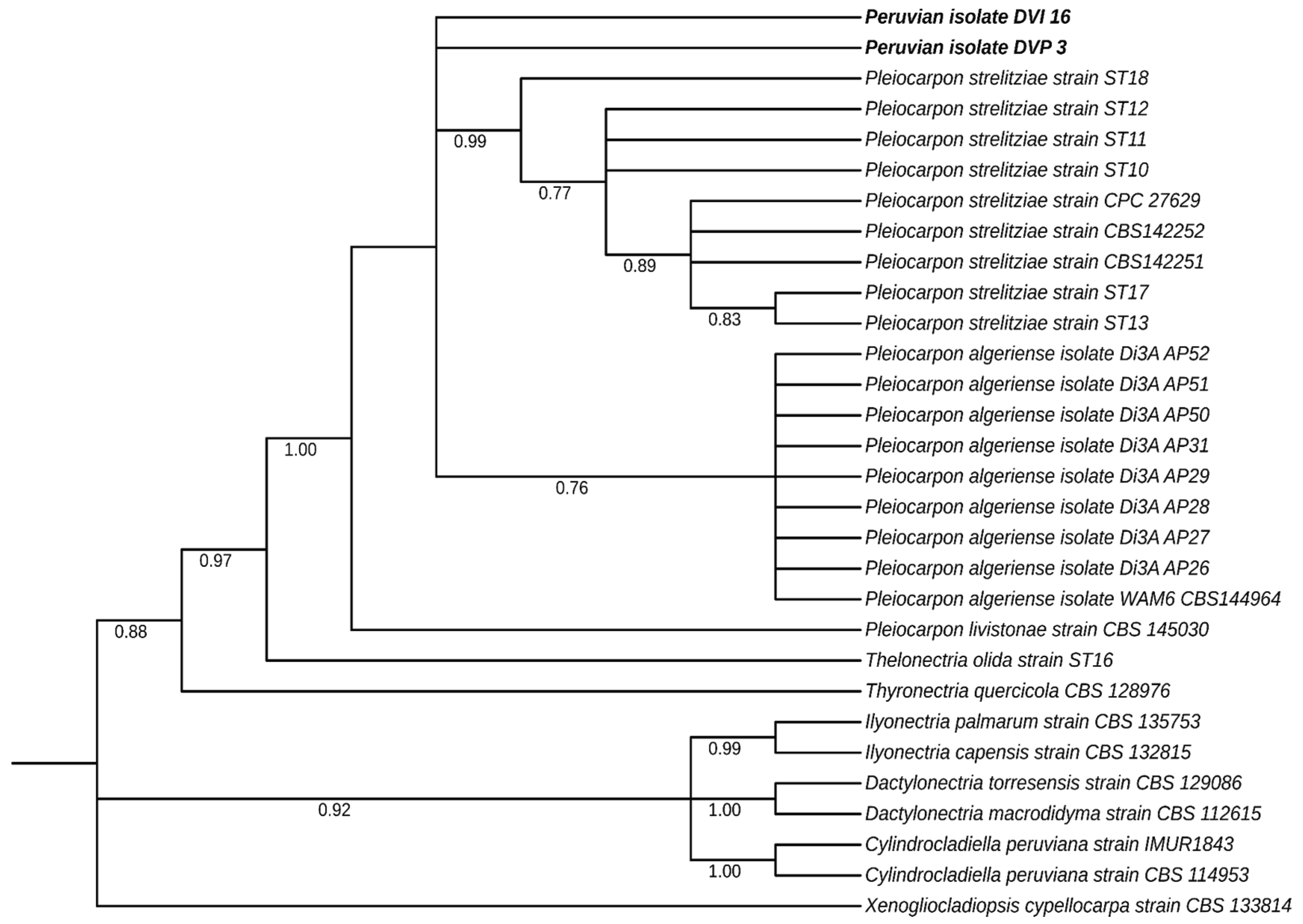 Preprints 211904 g003