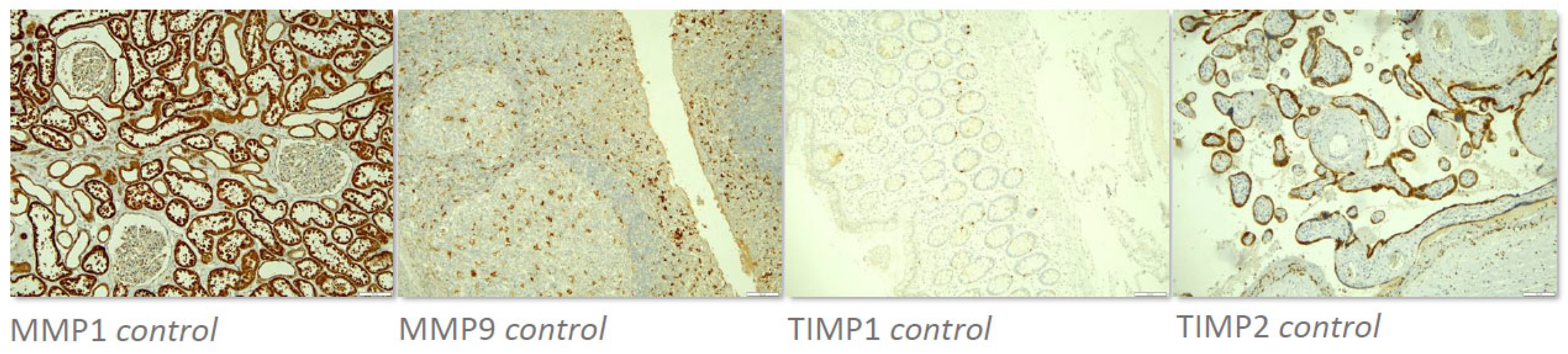 Preprints 97696 g001