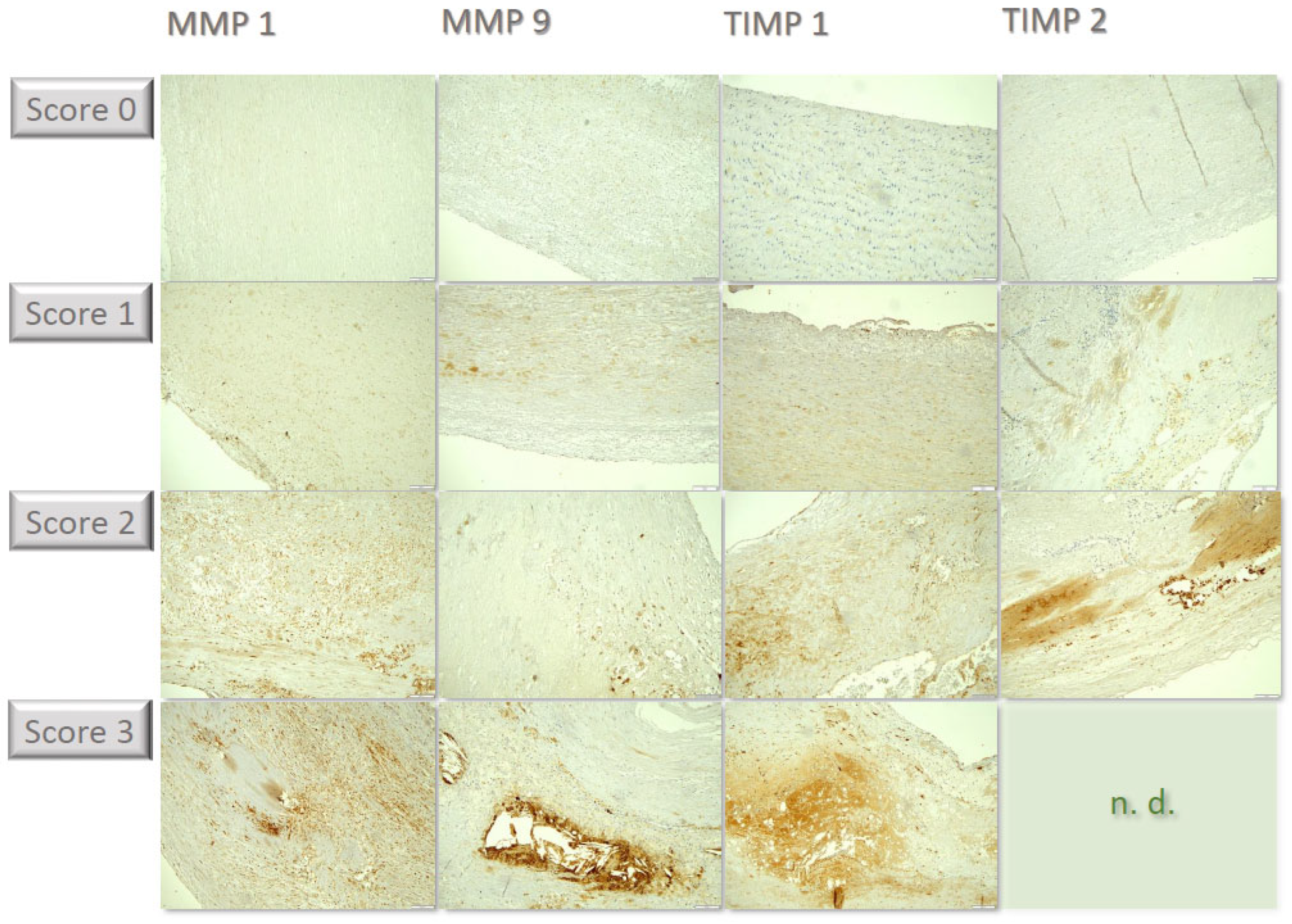 Preprints 97696 g002