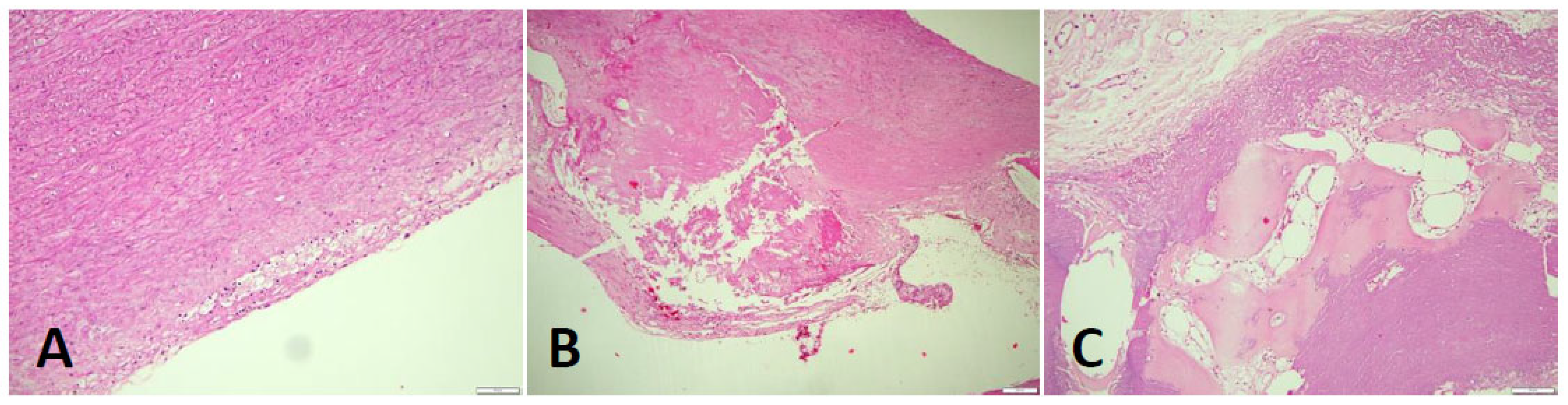 Preprints 97696 g004