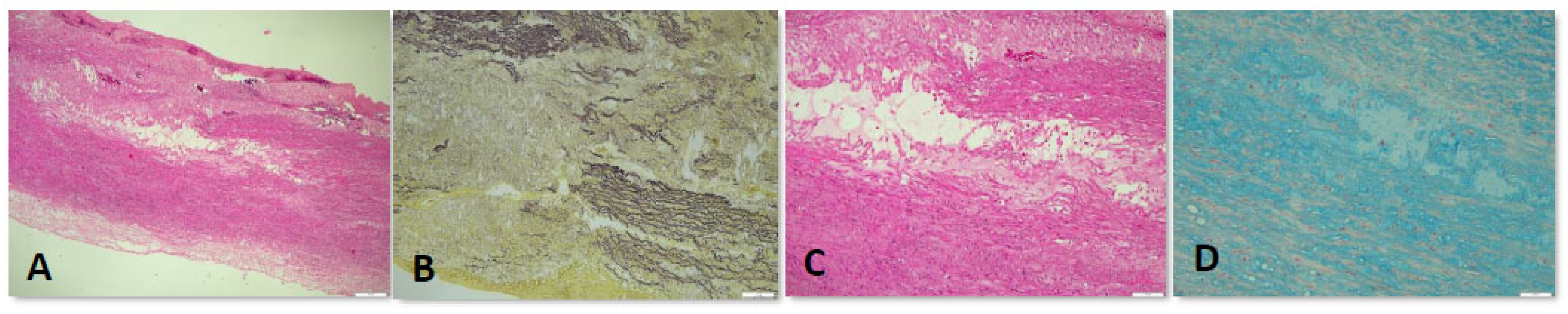 Preprints 97696 g005