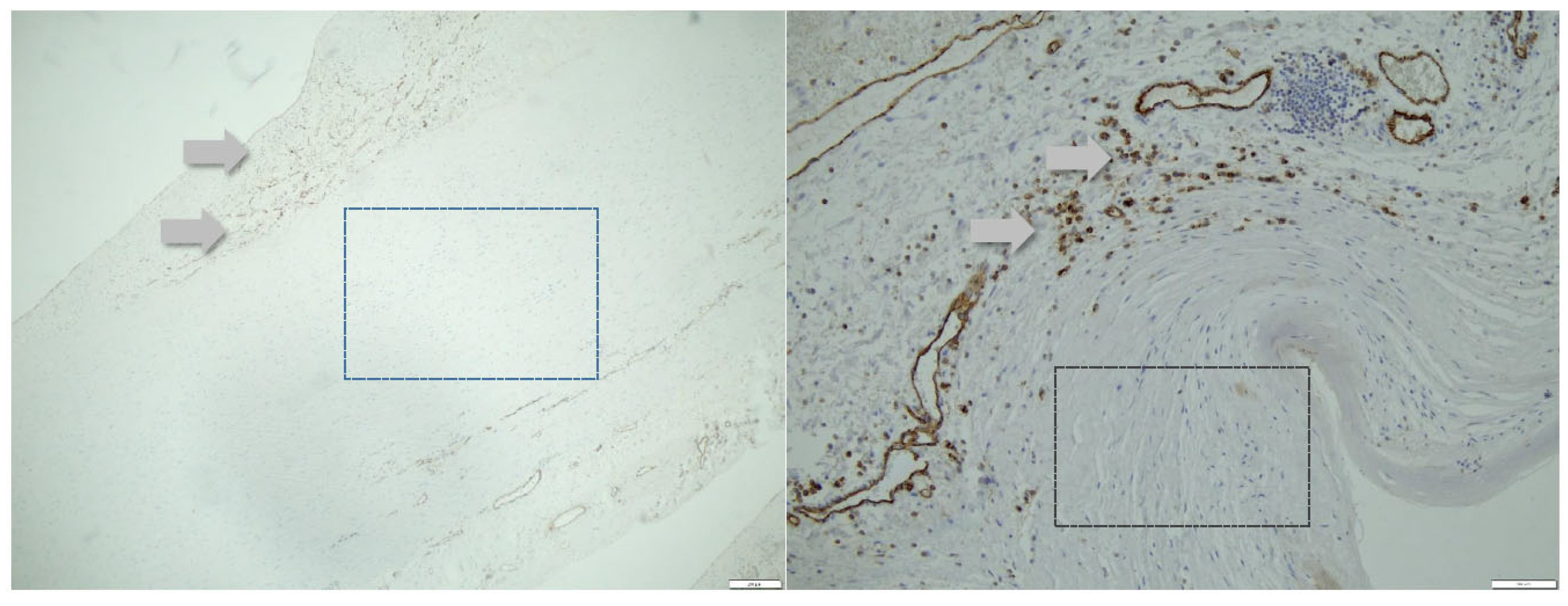 Preprints 97696 g009