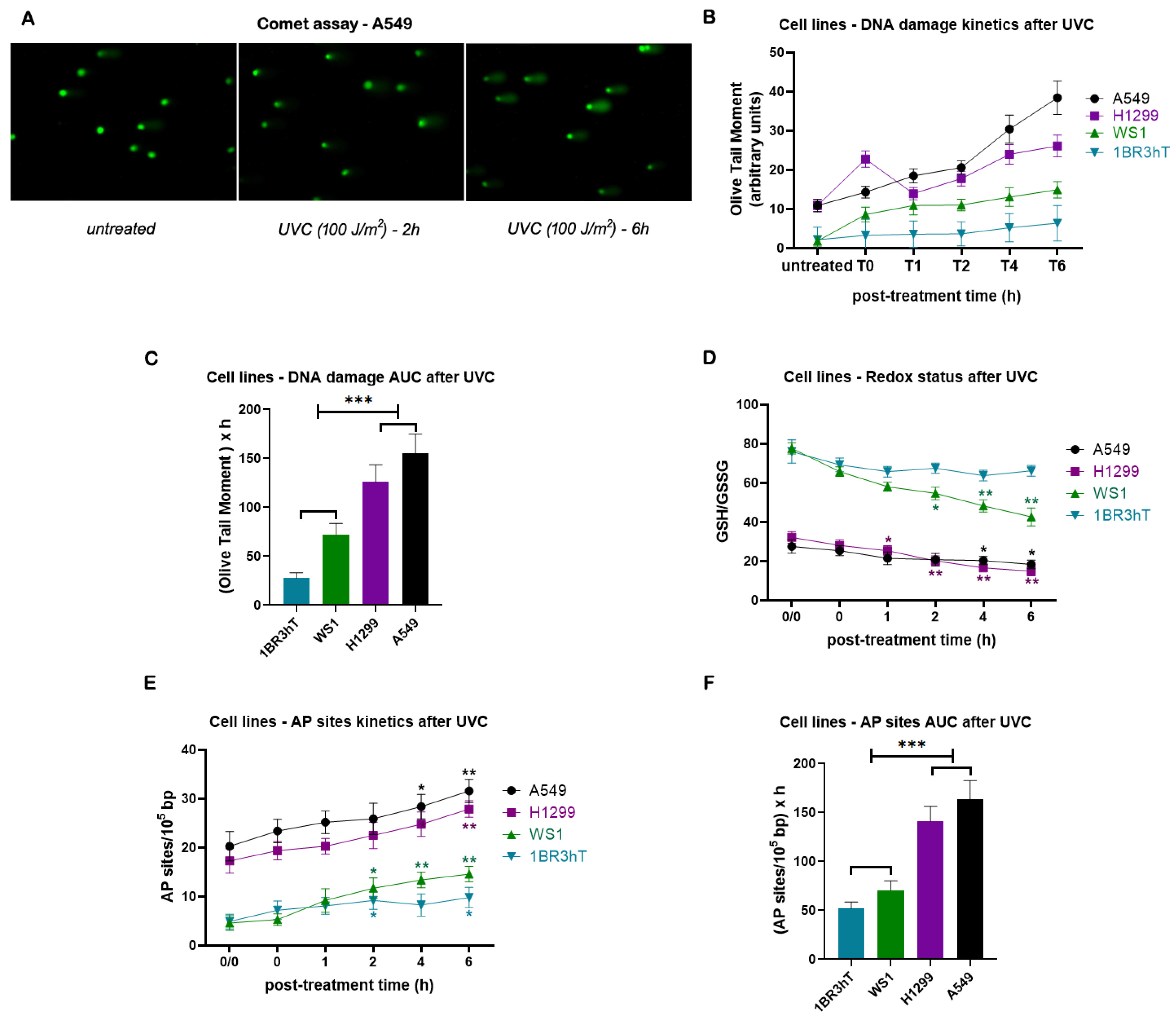Preprints 140925 g002