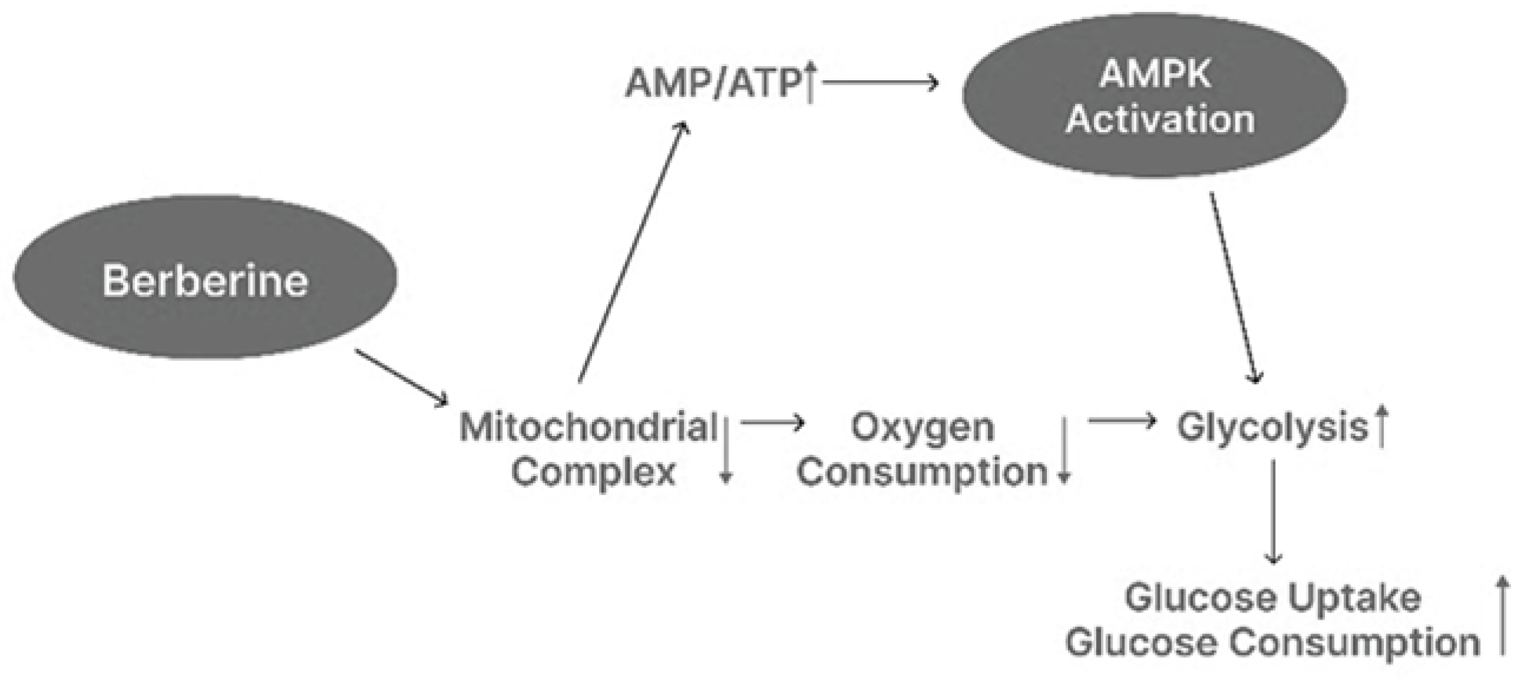 Preprints 172561 g001