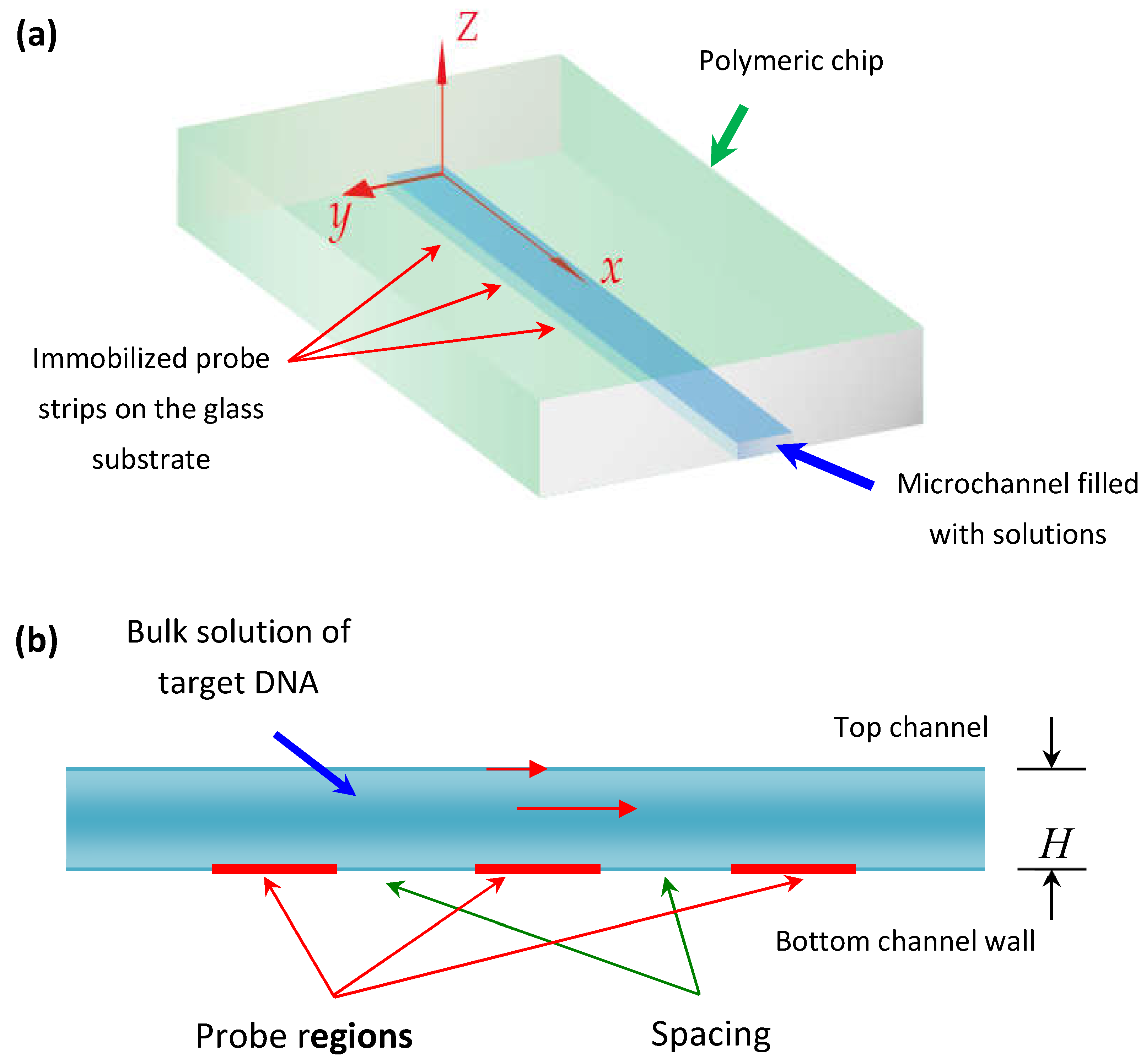 Numerical Characterization and Experimental Optimization of ...
