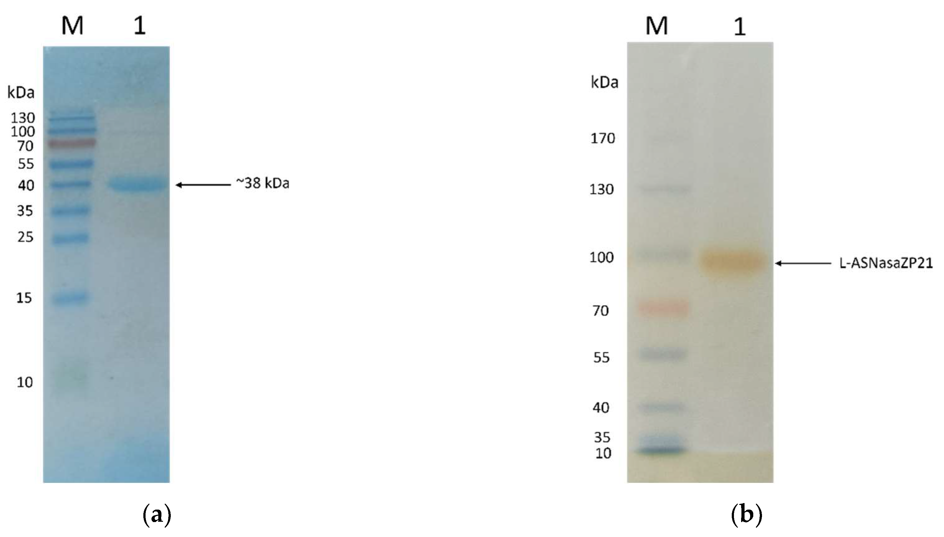 Preprints 86563 g002