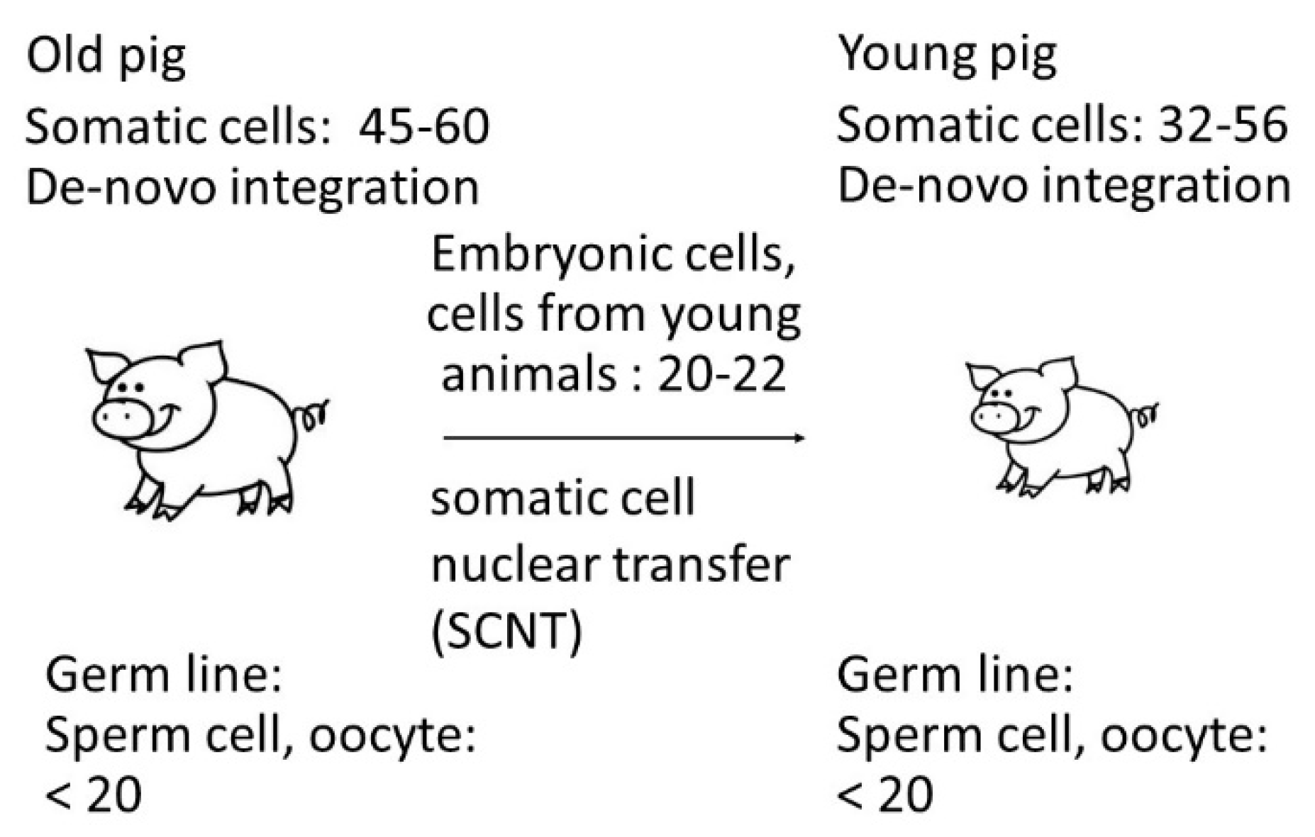 Preprints 84946 g005
