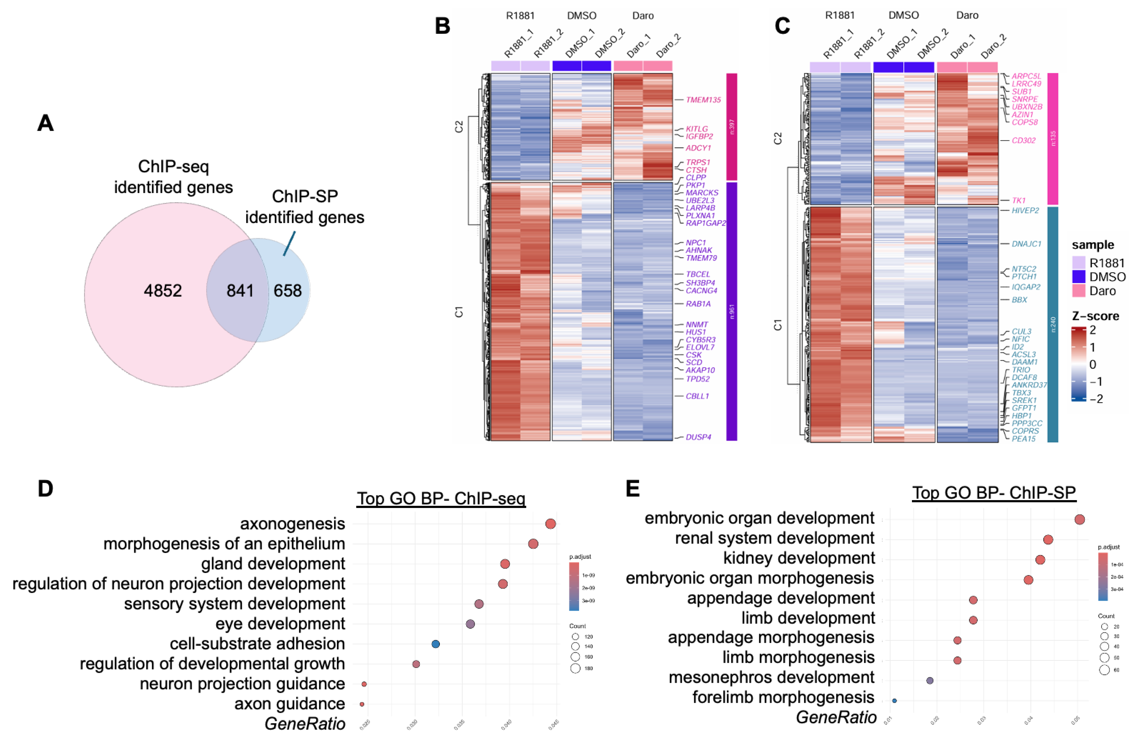 Preprints 191508 g002