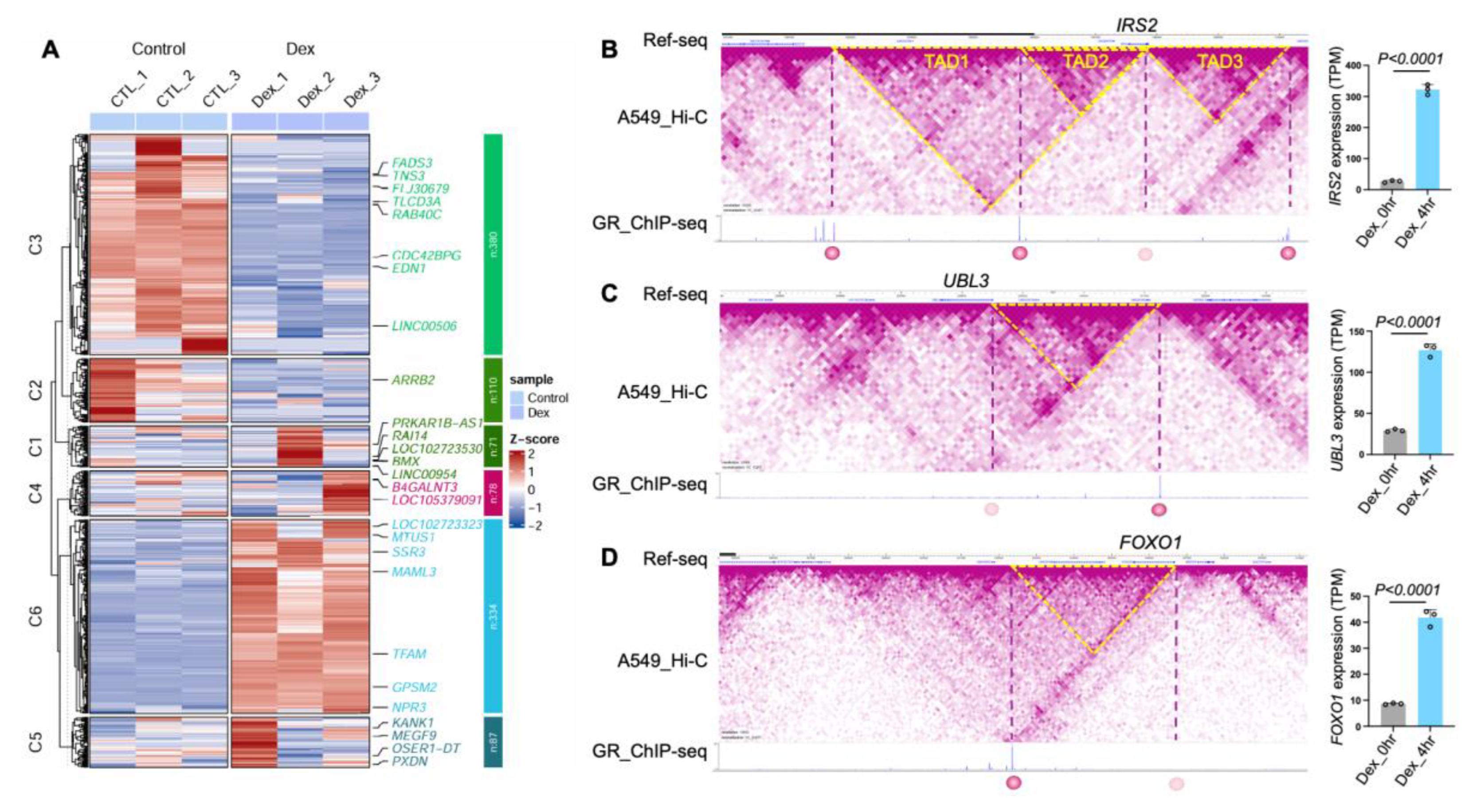 Preprints 191508 g004