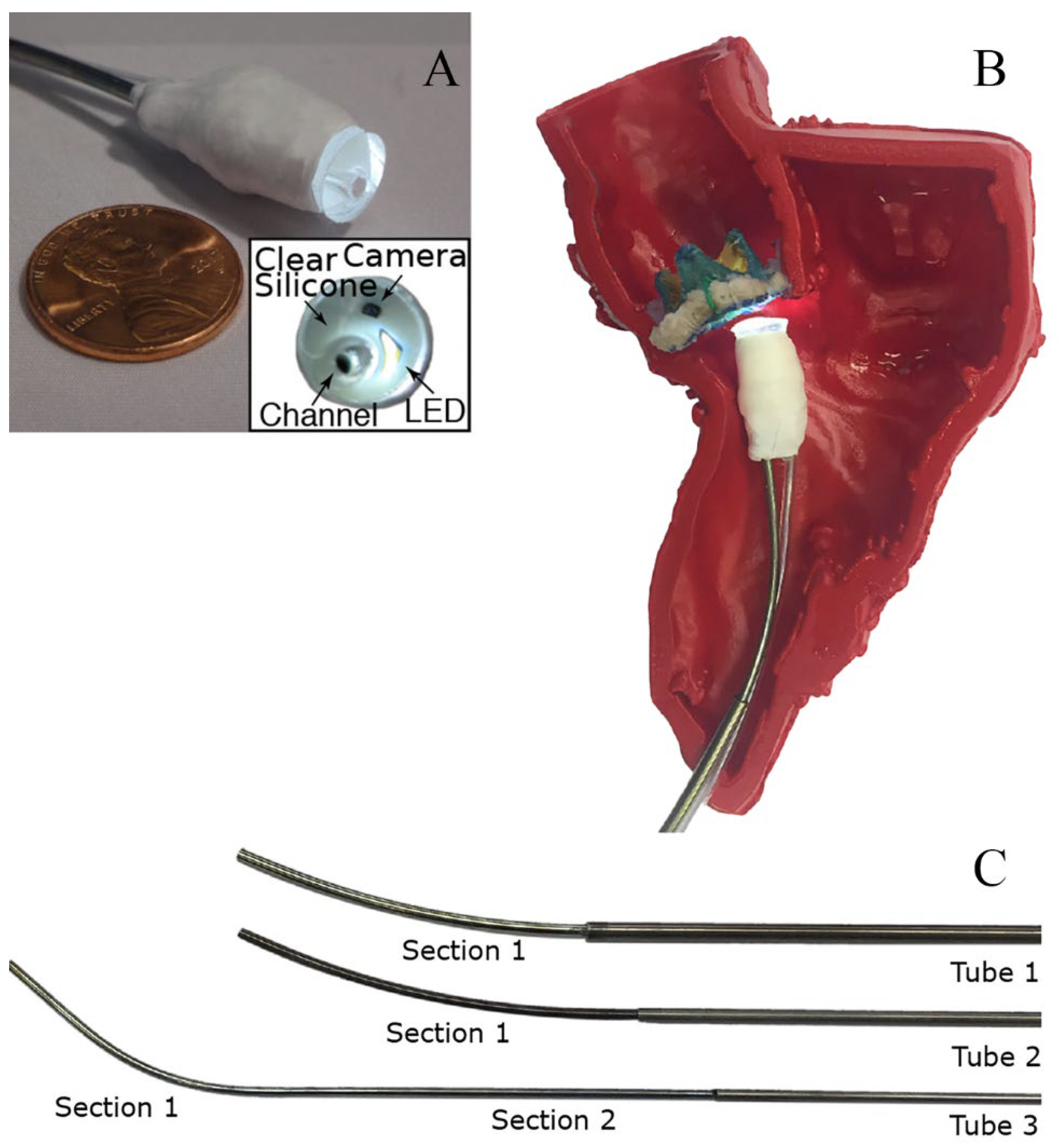 Preprints 105121 g001