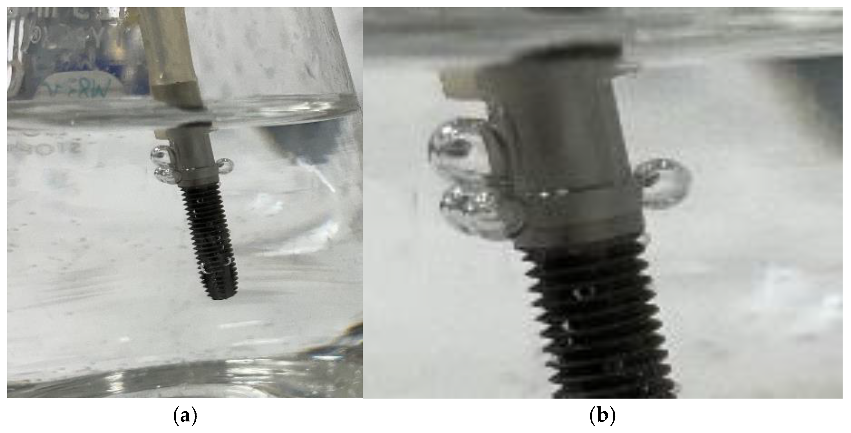 Preprints 198147 g004