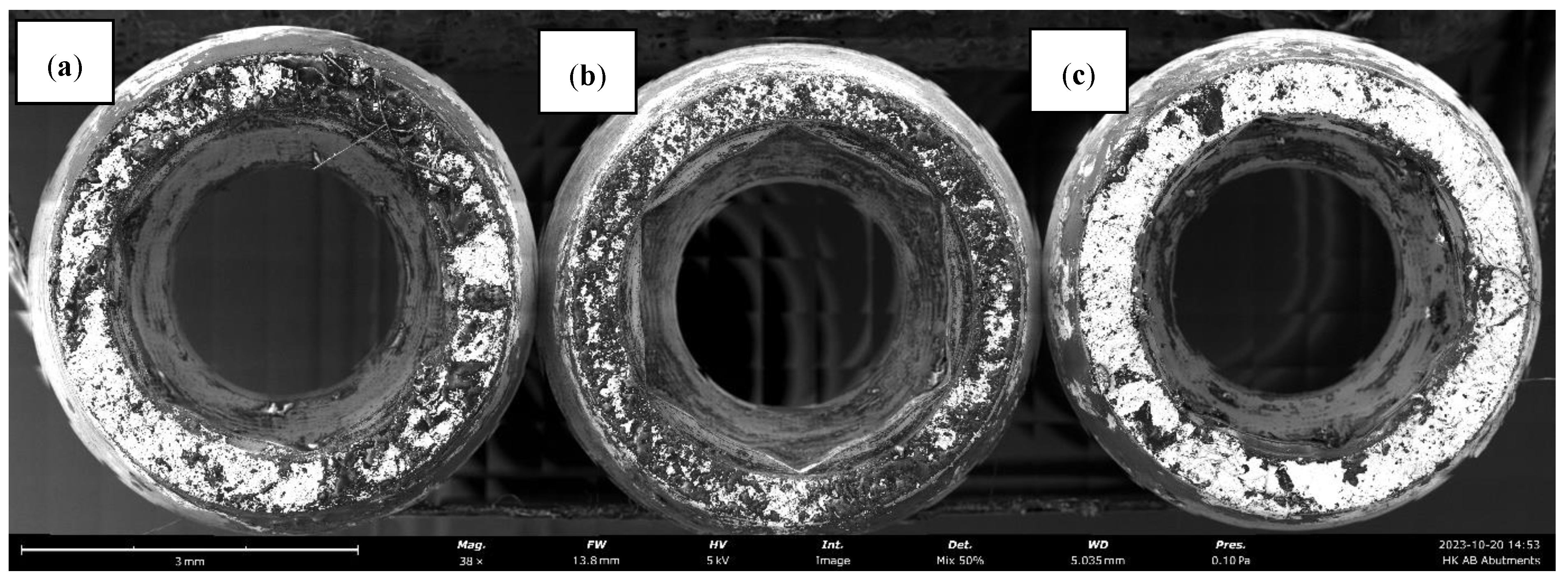 Preprints 198147 g007