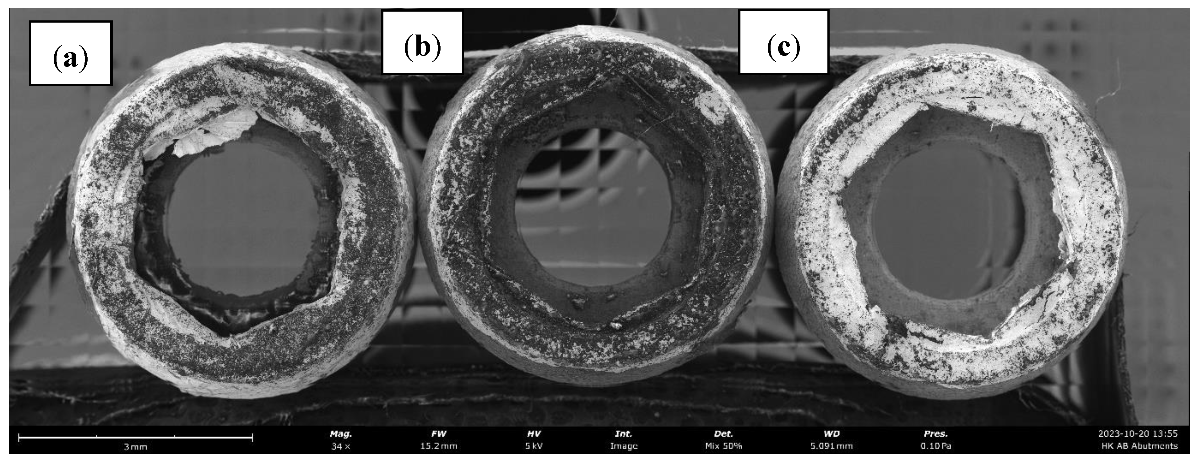 Preprints 198147 g008