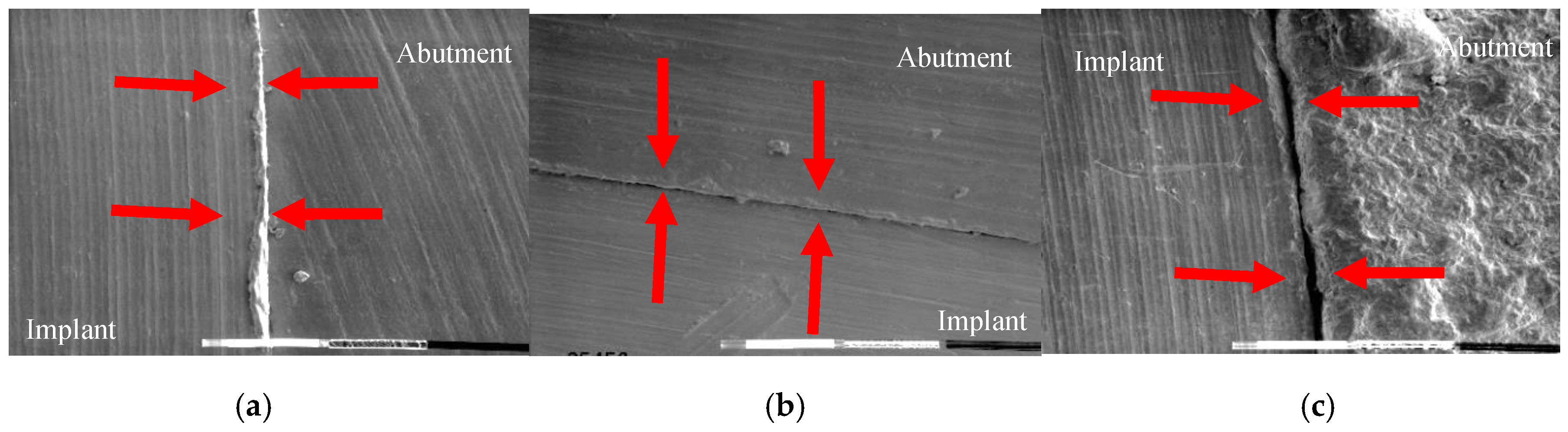 Preprints 198147 g009