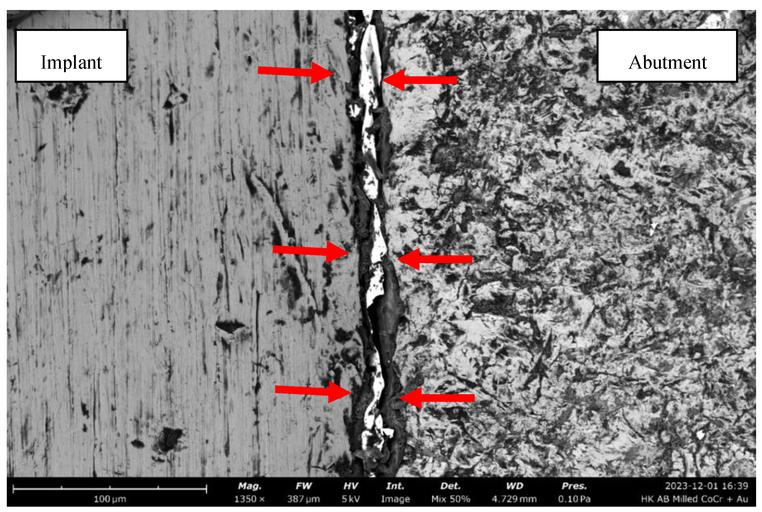 Preprints 198147 g010