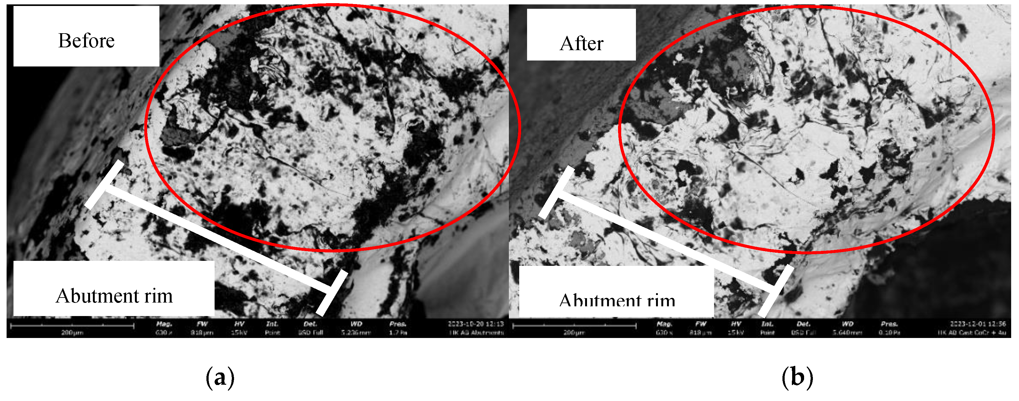 Preprints 198147 g011