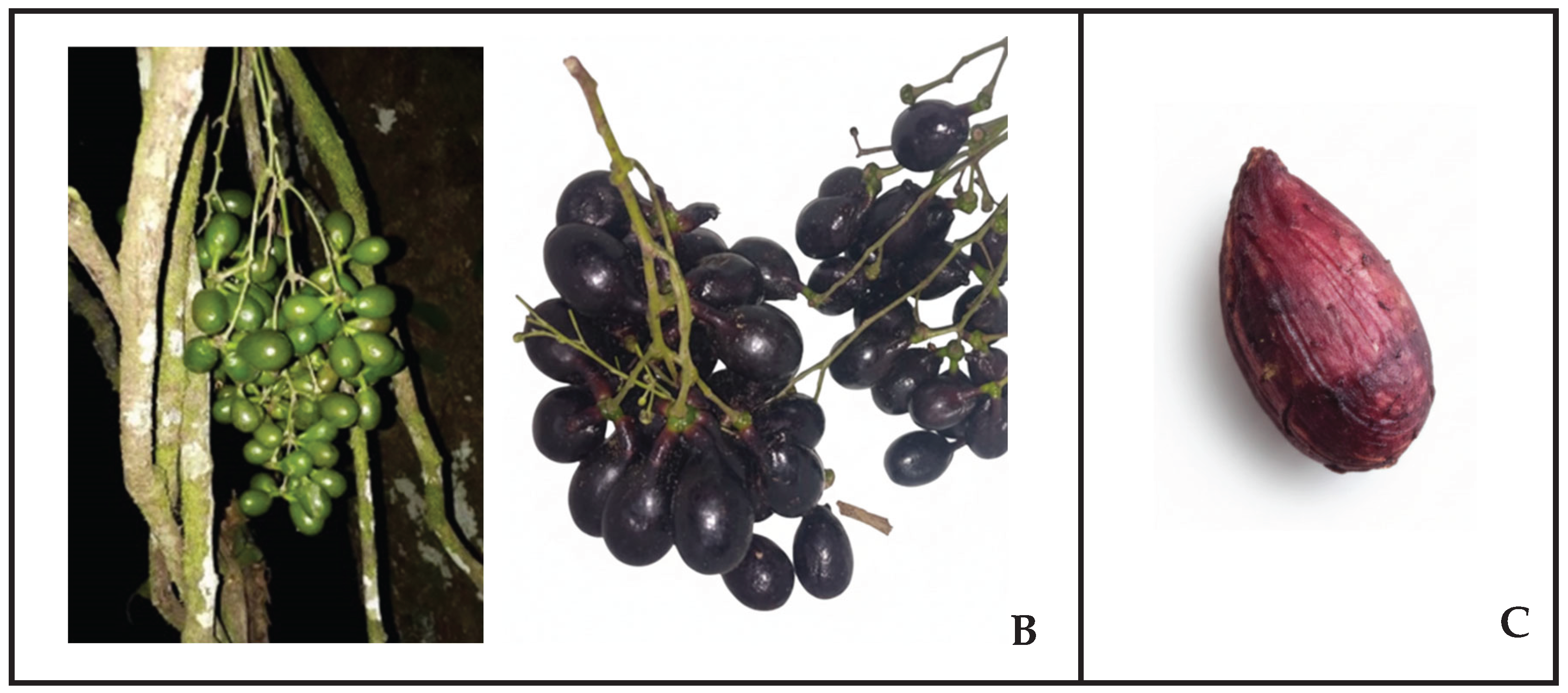 Preprints 187848 g002b