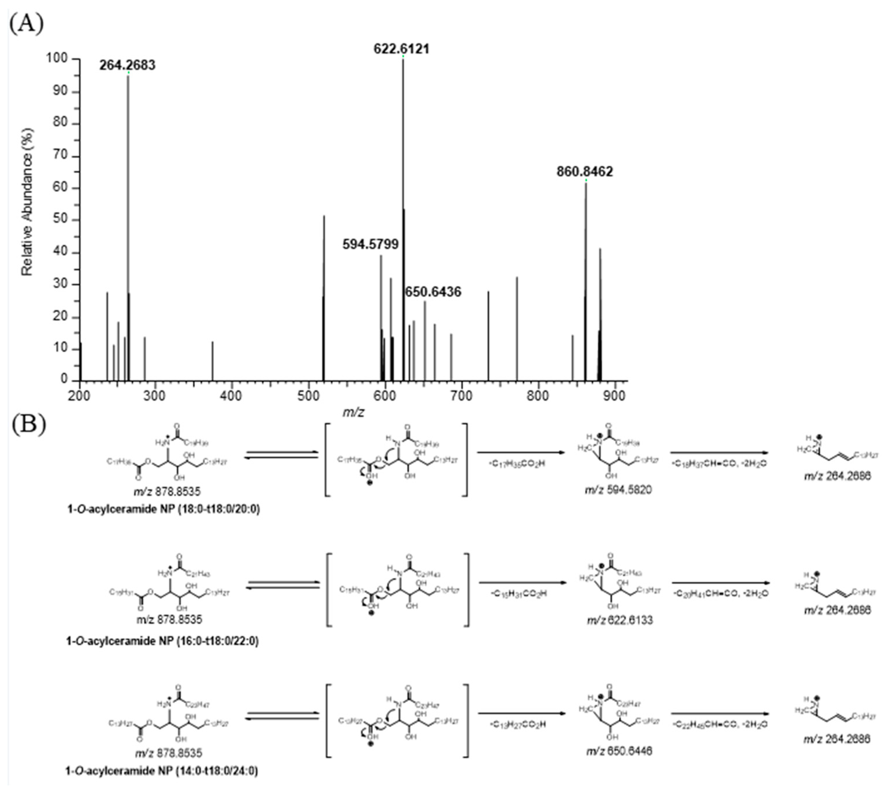 Preprints 143015 g004