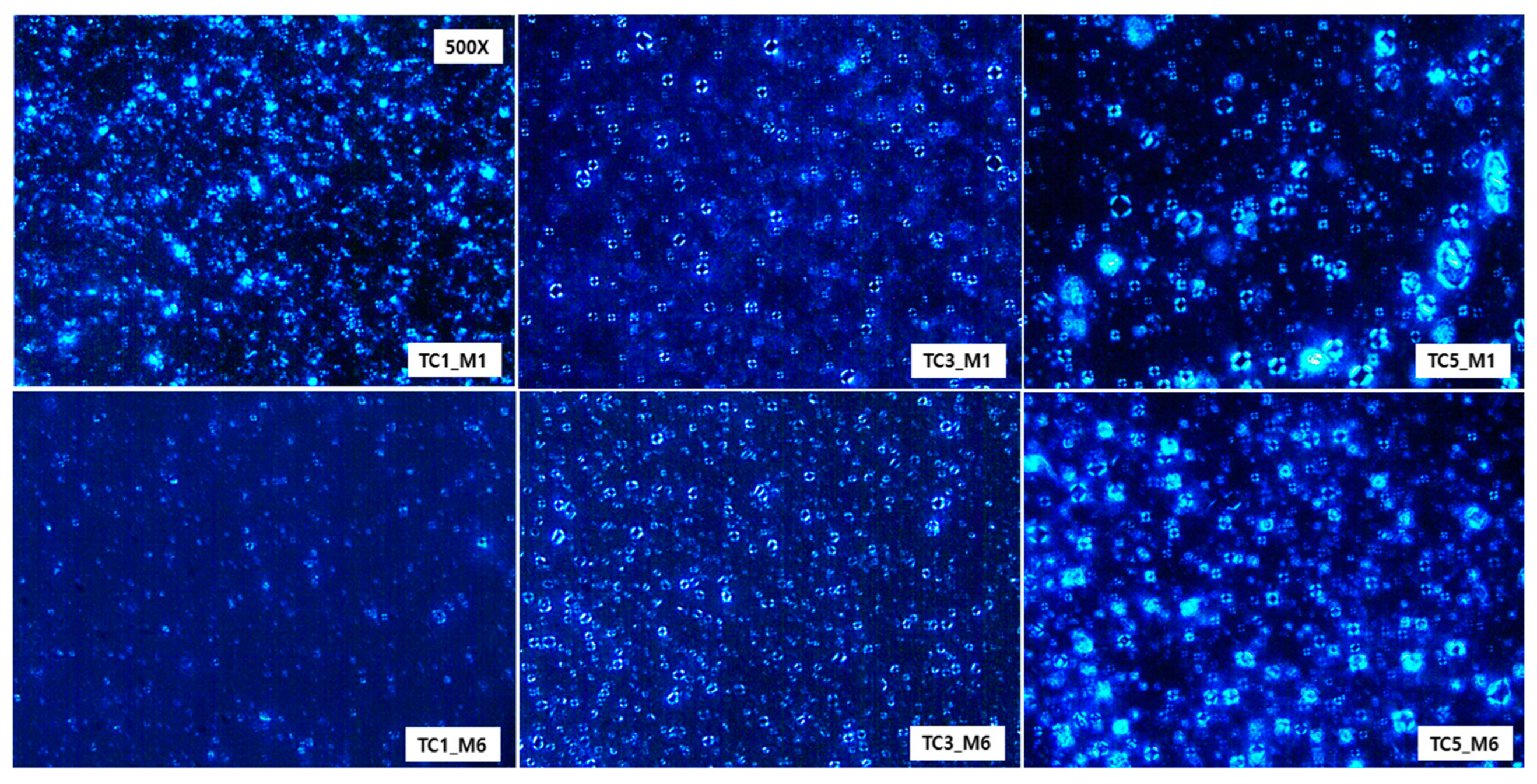 Preprints 143015 g005