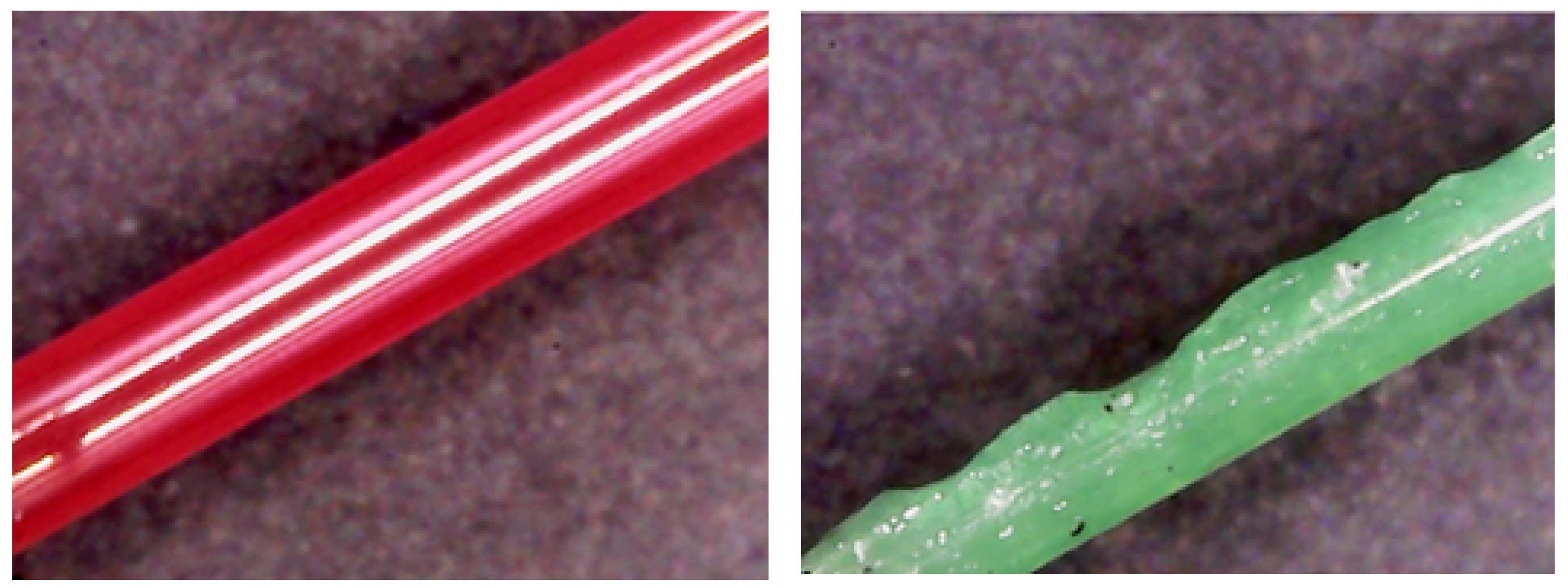 Preprints 183887 g006