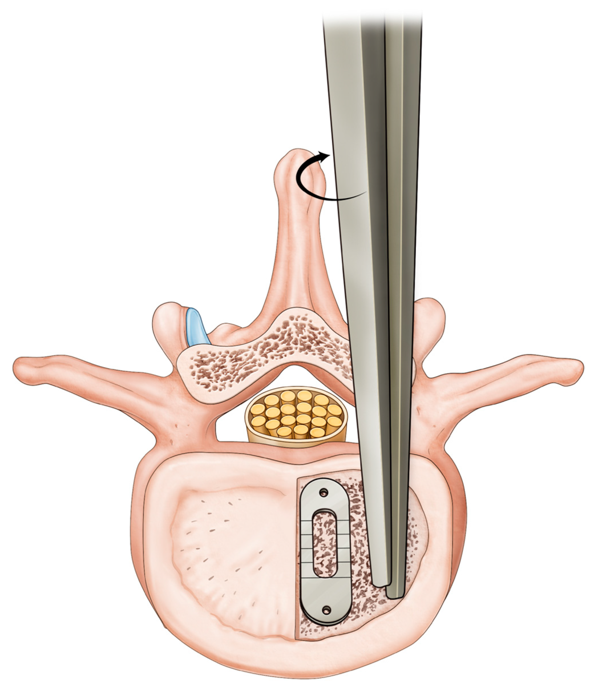 Preprints 85867 g001