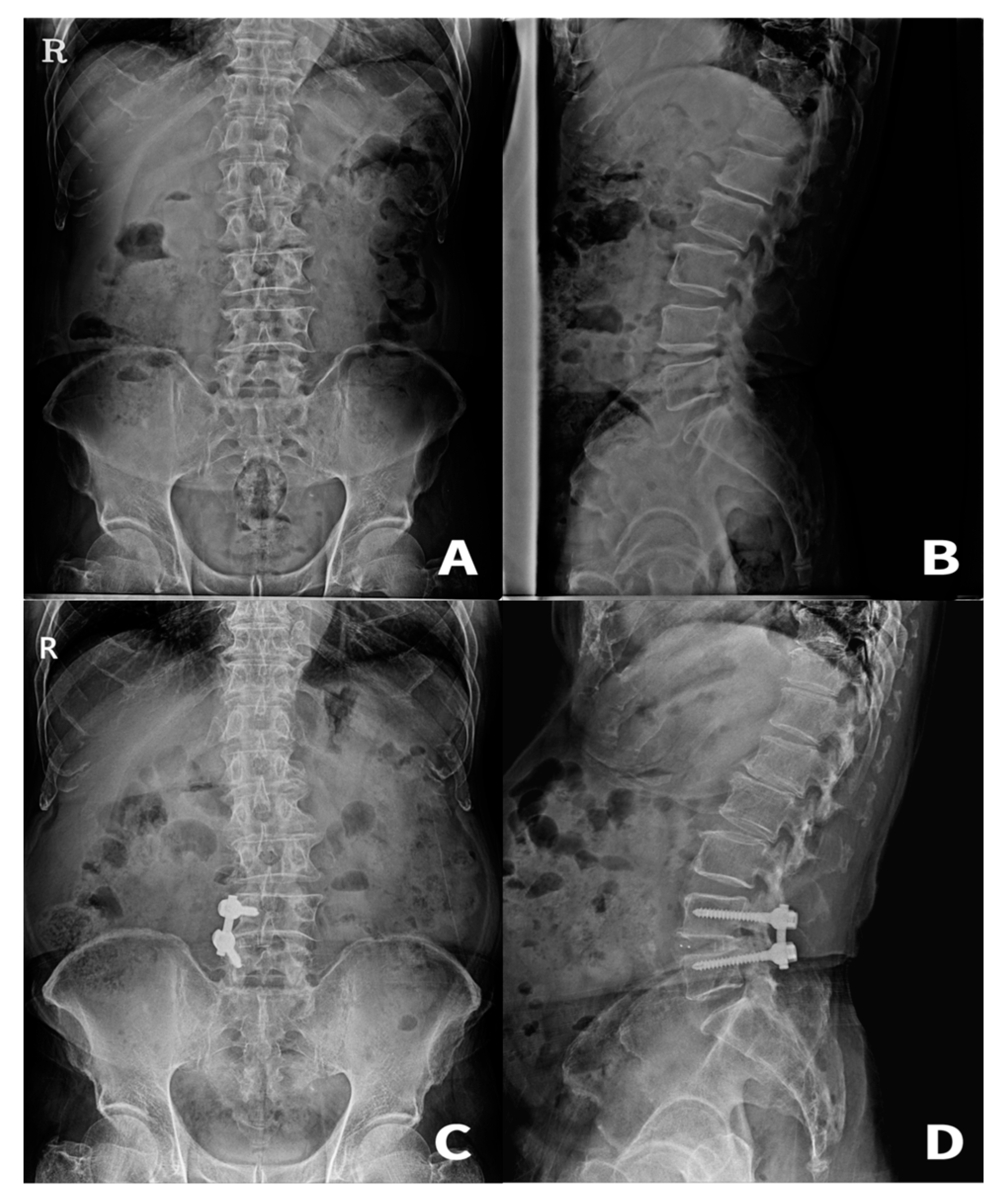 Preprints 85867 g003