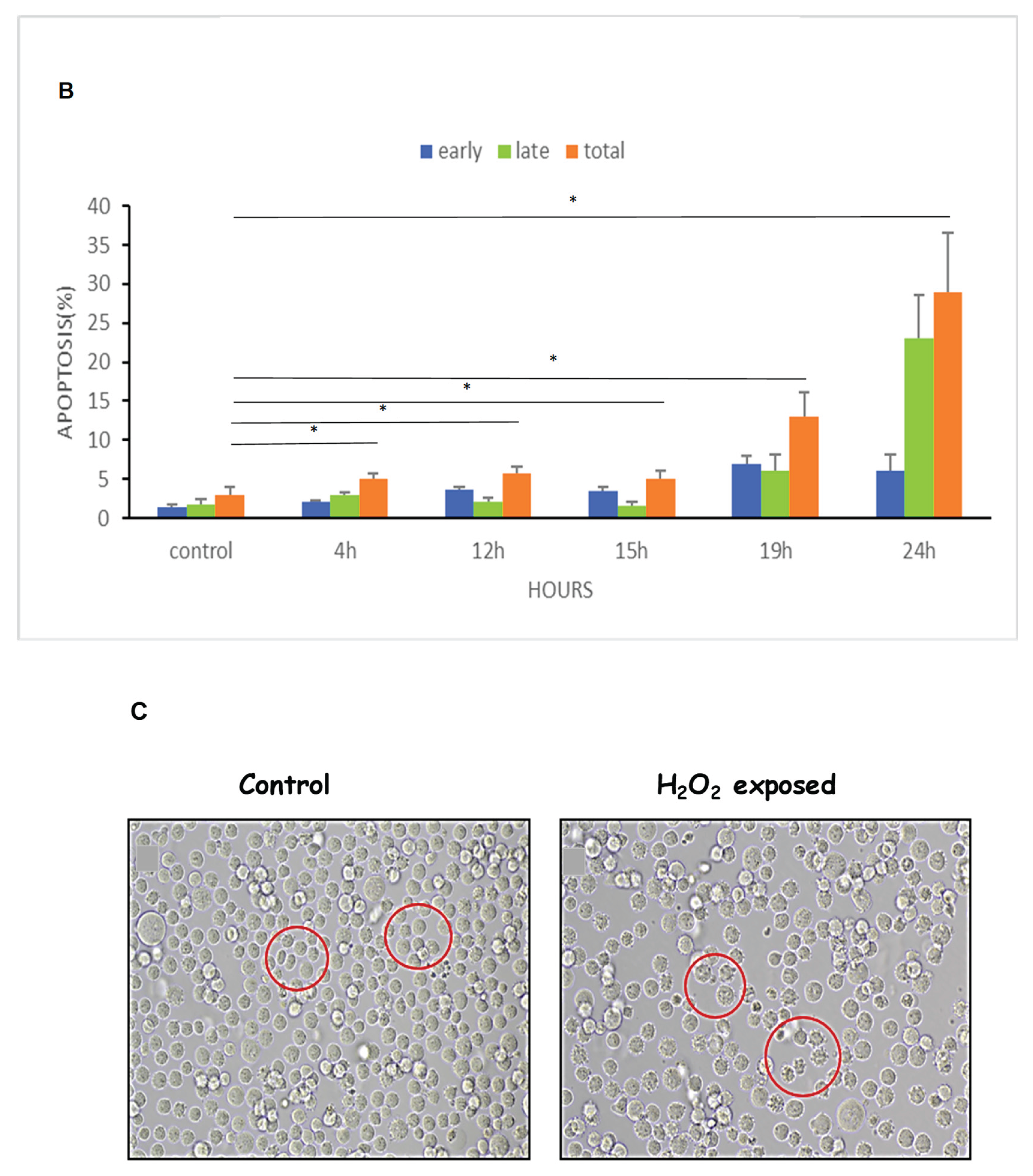Preprints 166021 g006b