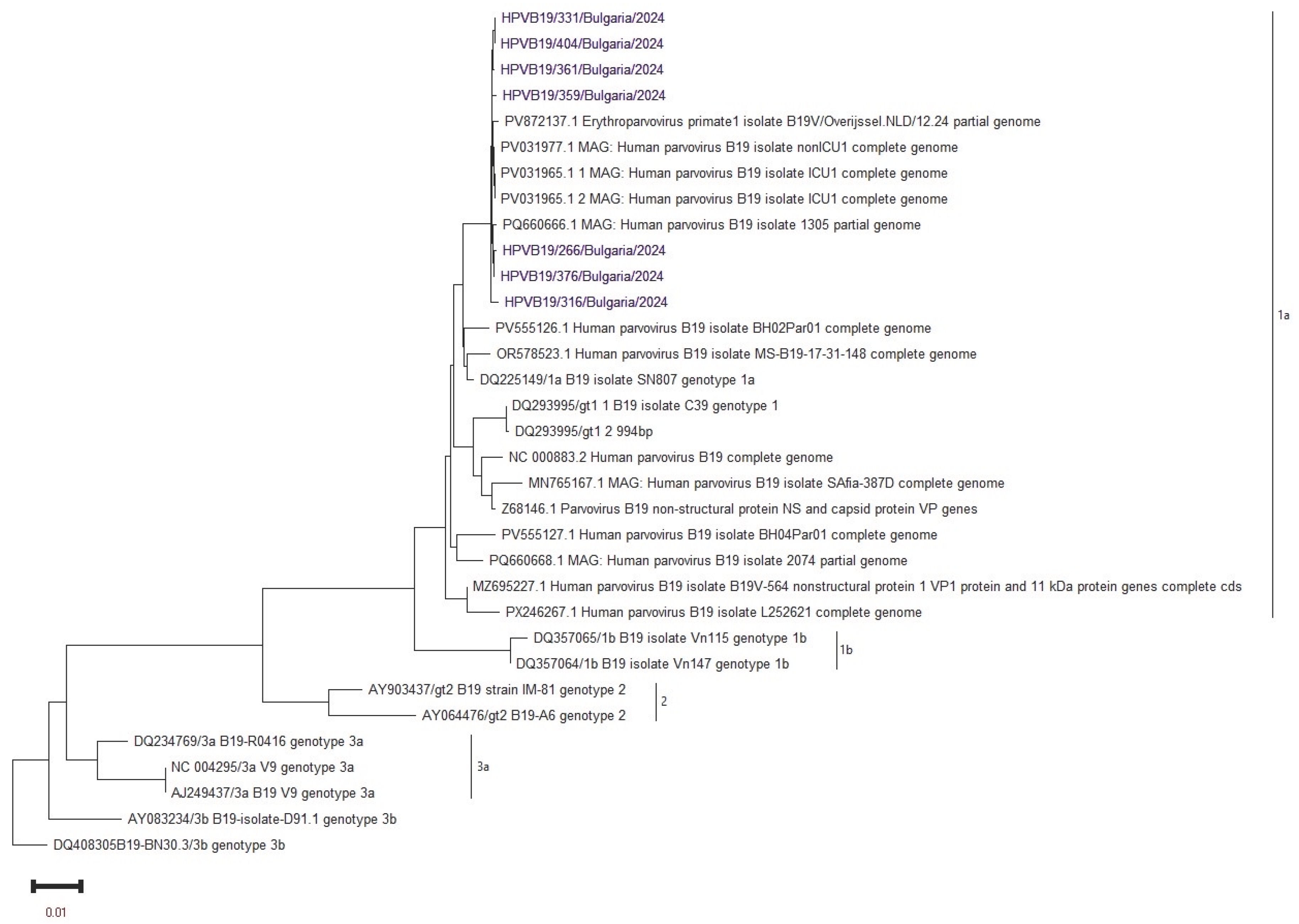 Preprints 185054 g001