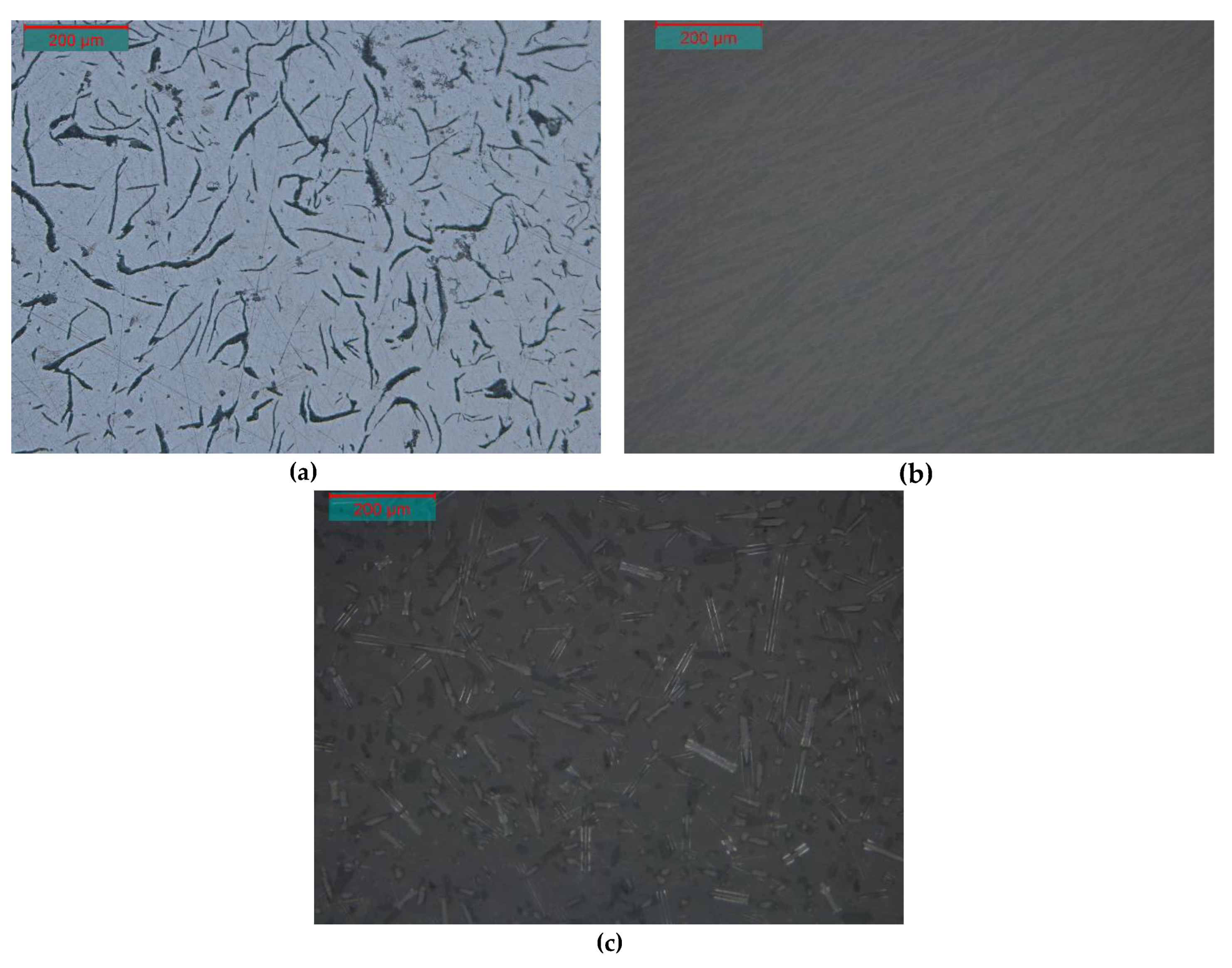 Preprints 192764 g001