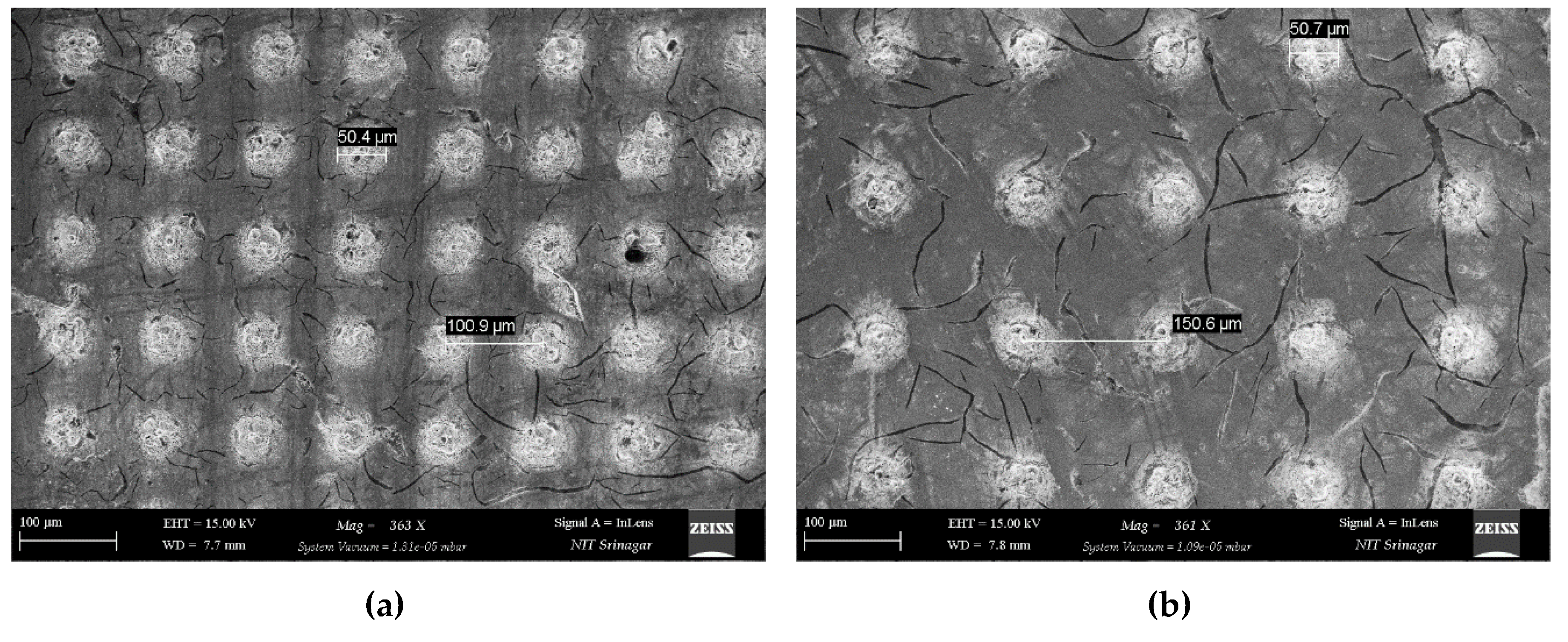 Preprints 192764 g003