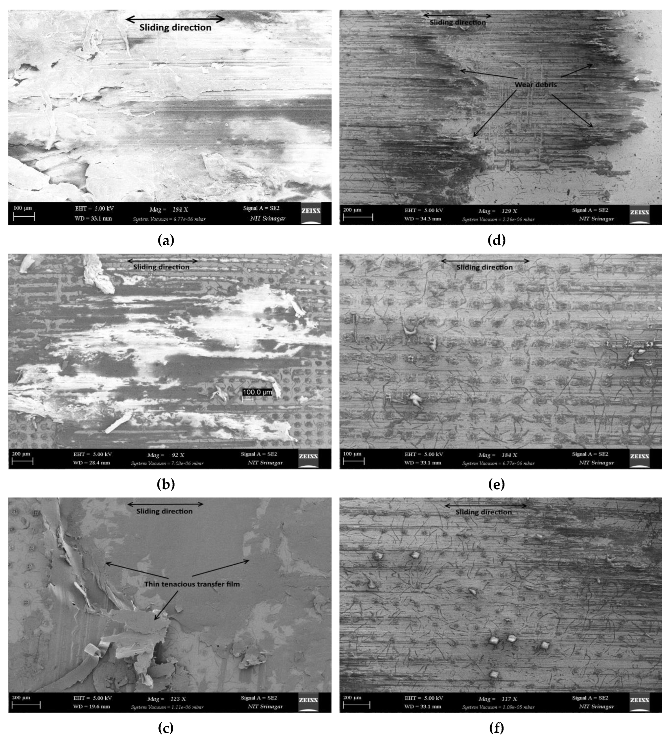 Preprints 192764 g009