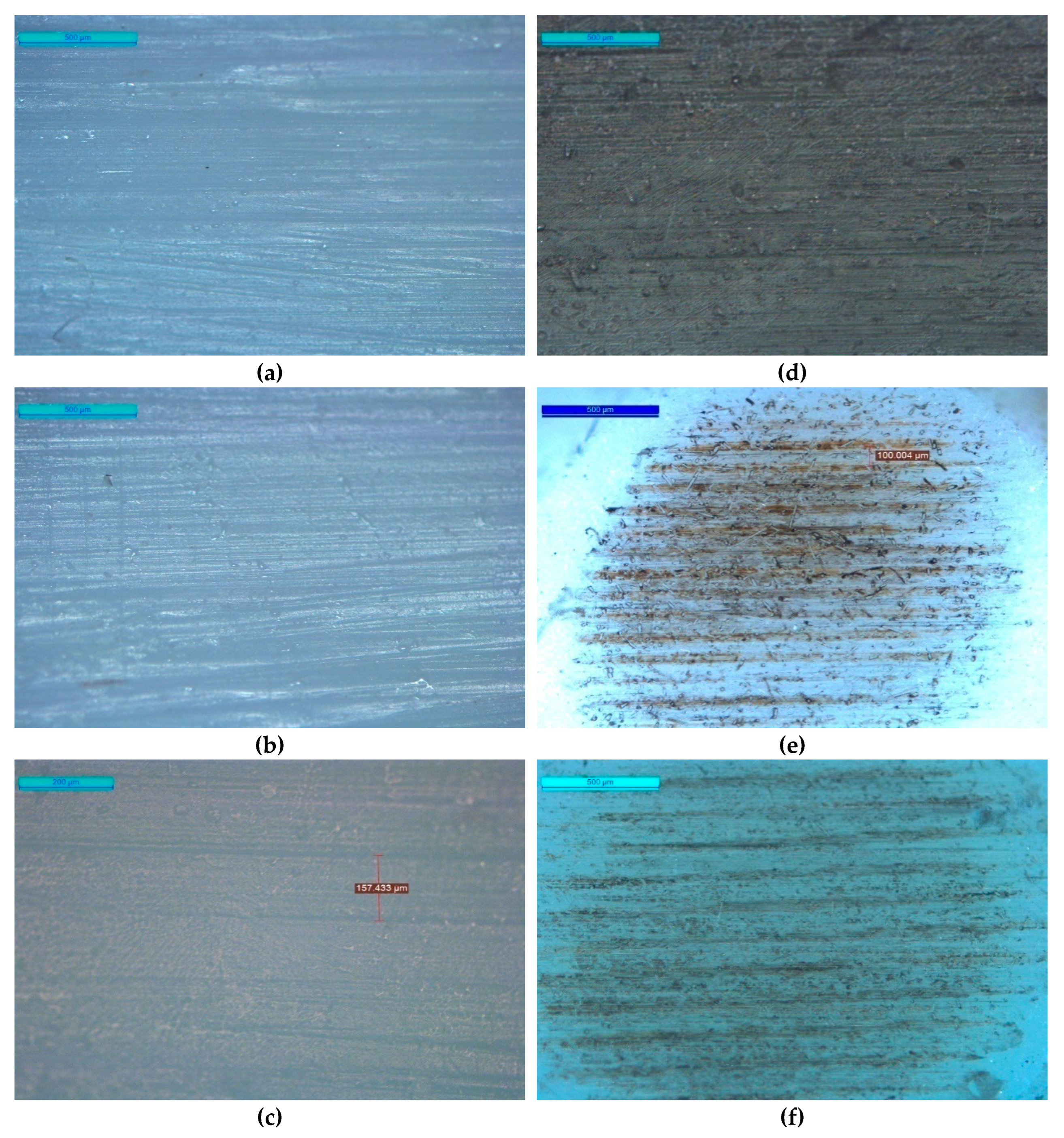 Preprints 192764 g010