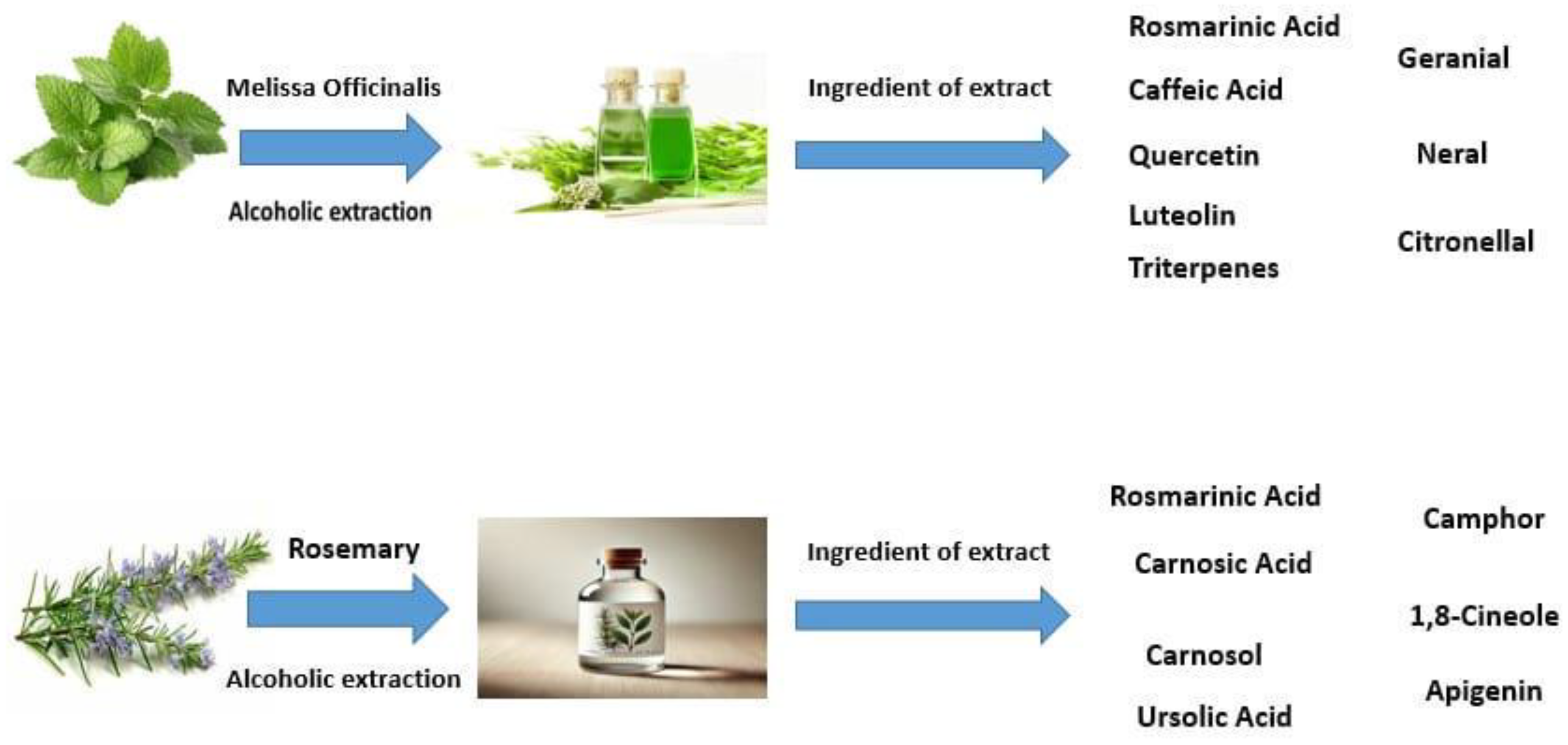 Preprints 188559 g001