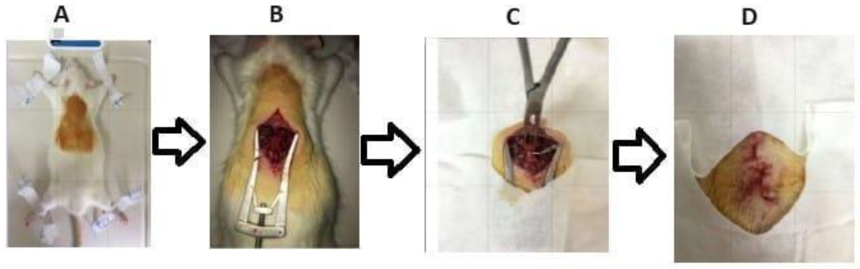 Preprints 188559 g002