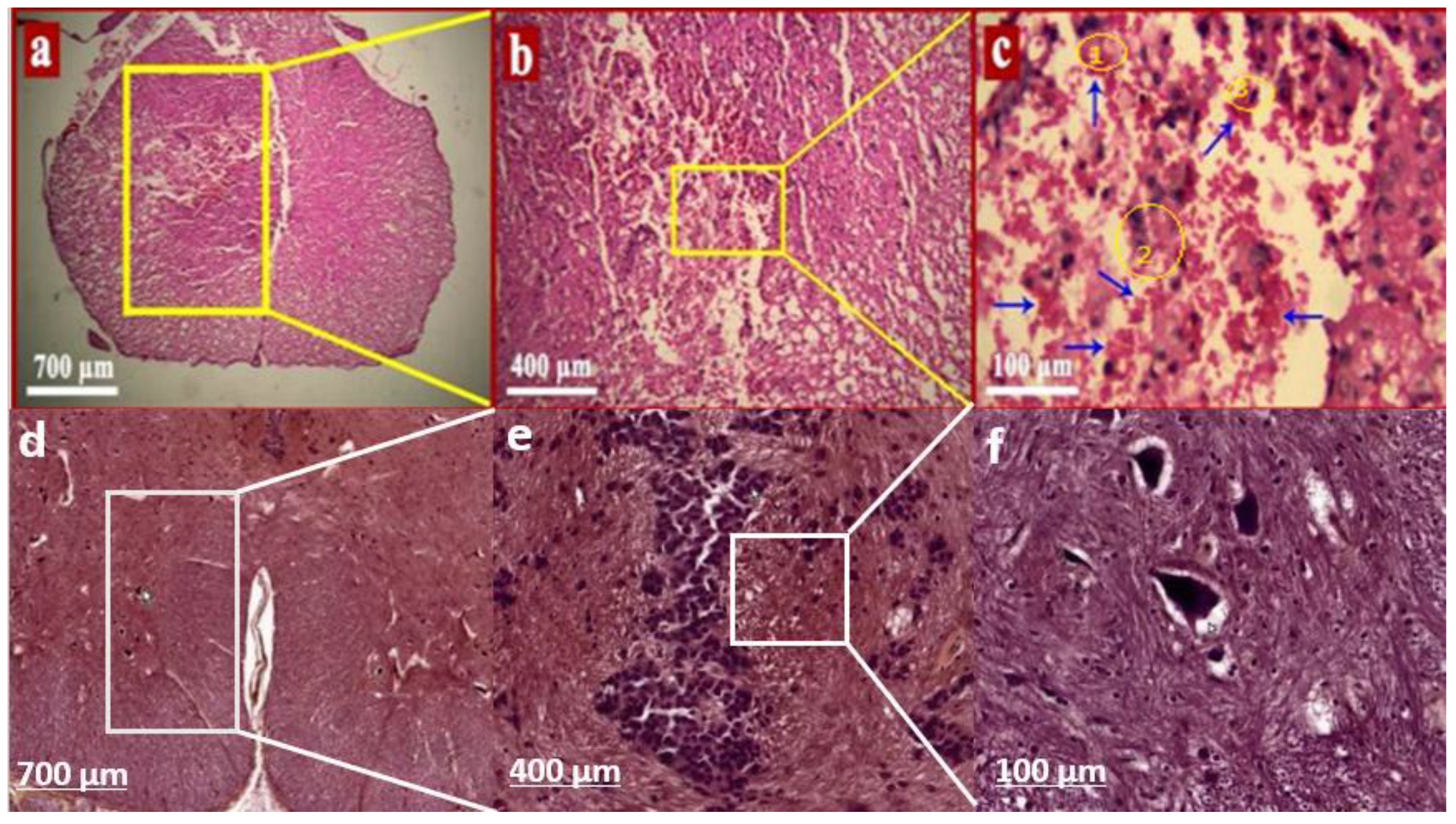 Preprints 188559 g003