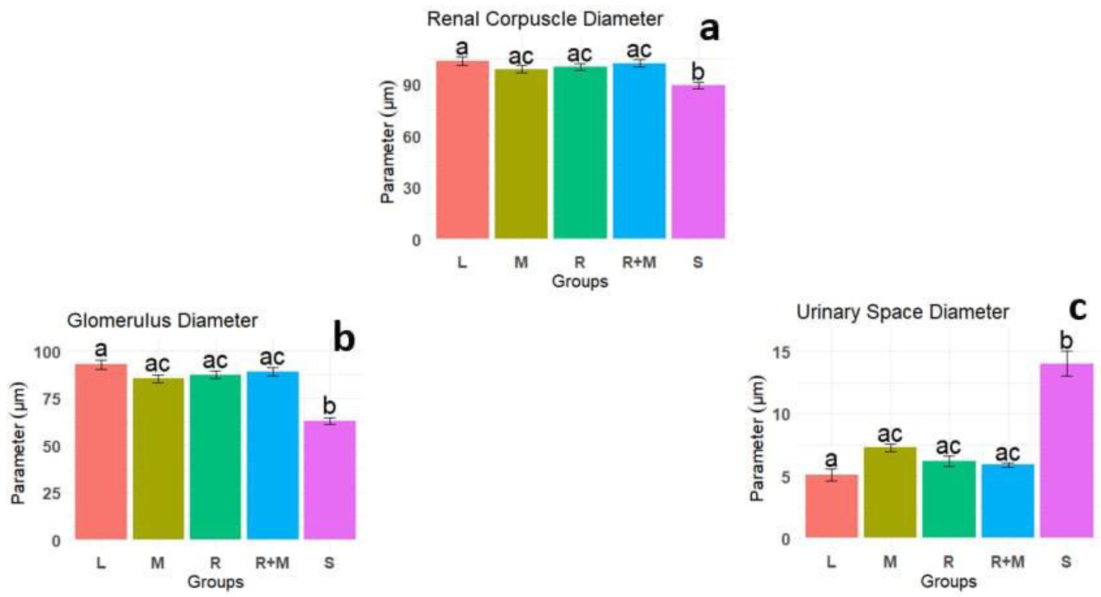 Preprints 188559 g007