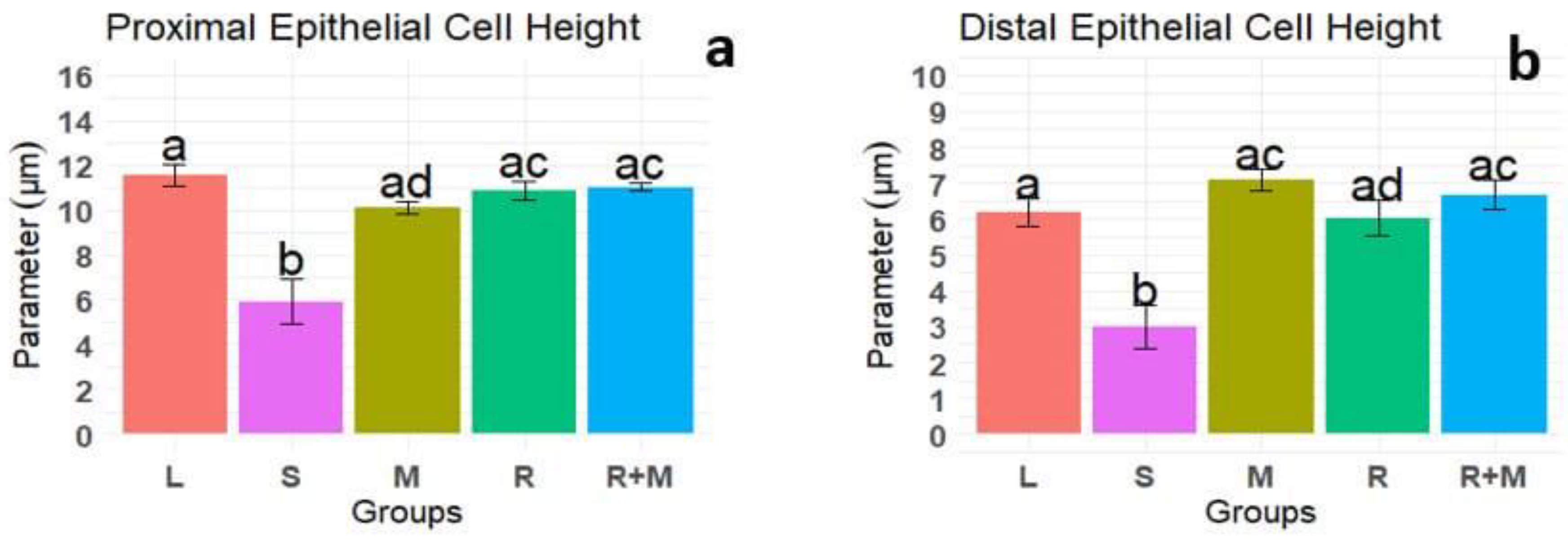 Preprints 188559 g008
