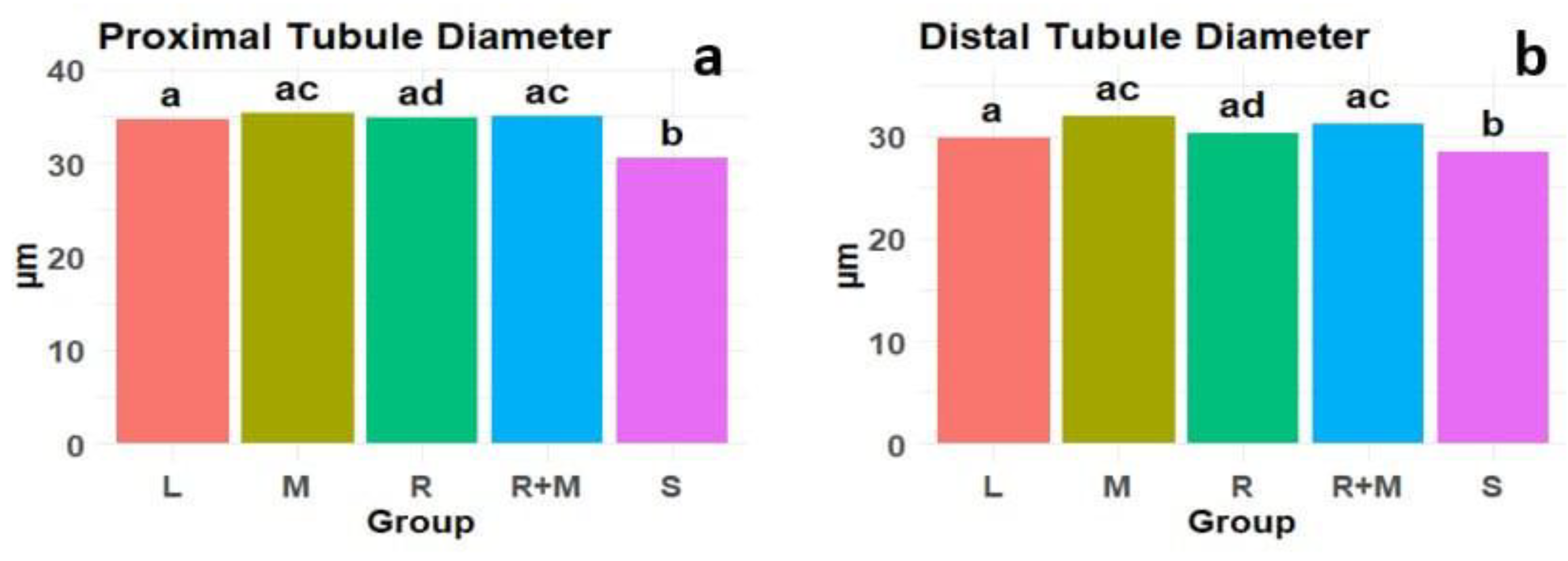 Preprints 188559 g009