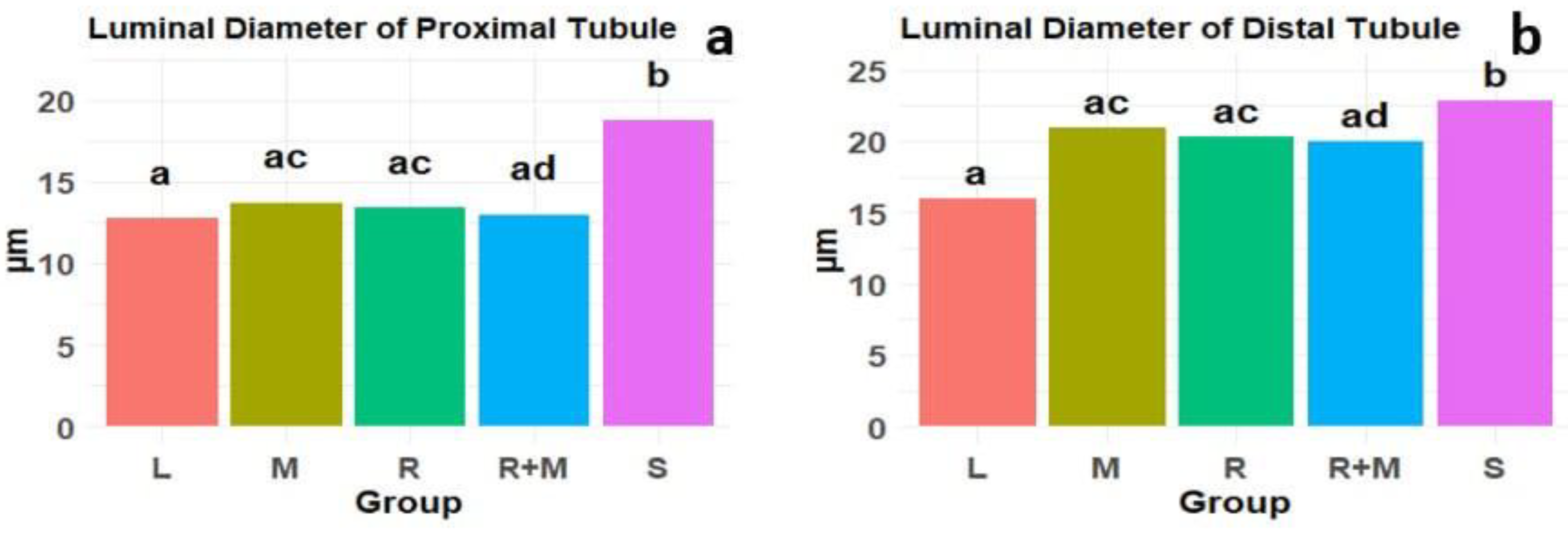 Preprints 188559 g010
