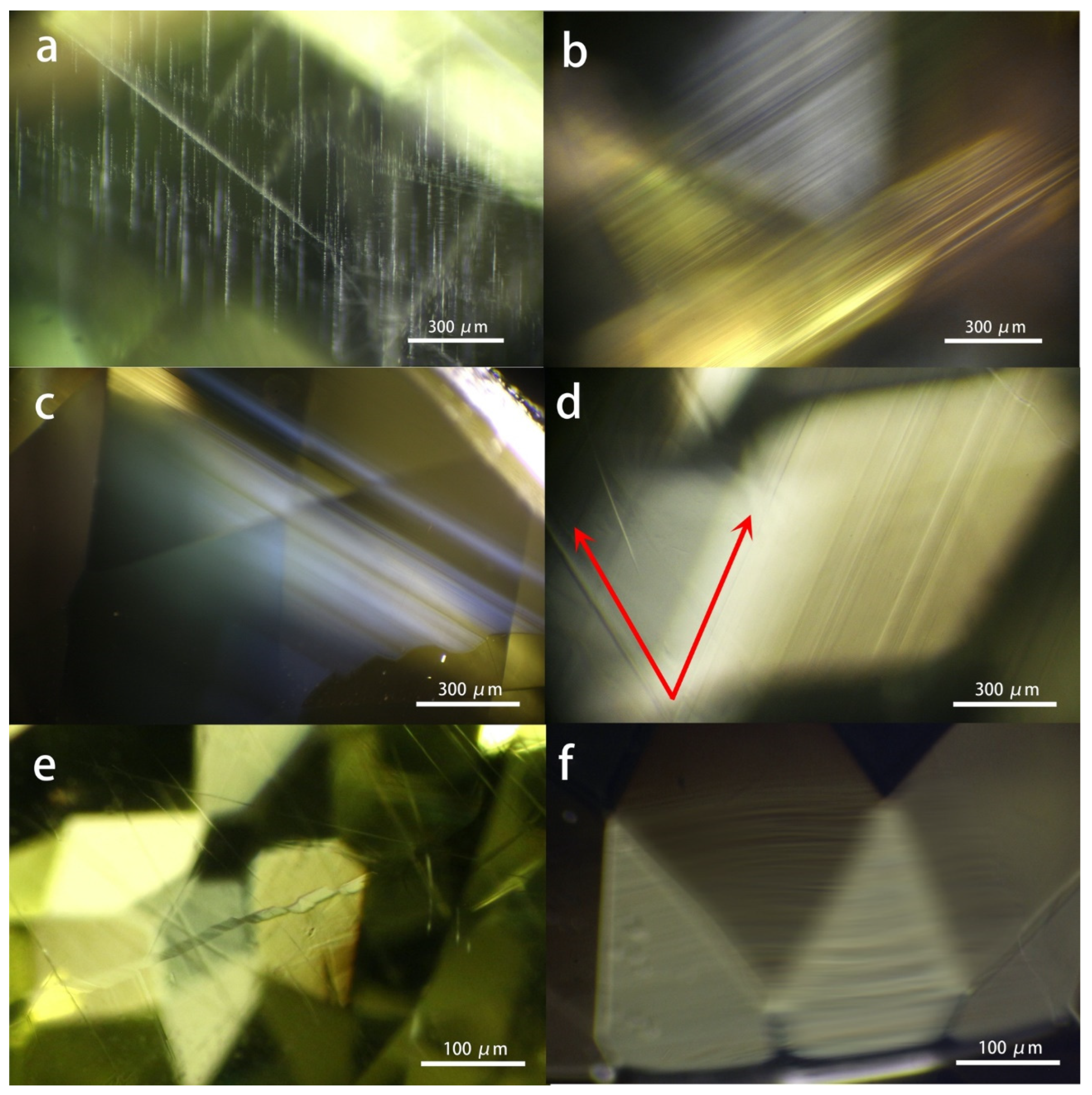 Preprints 87296 g002