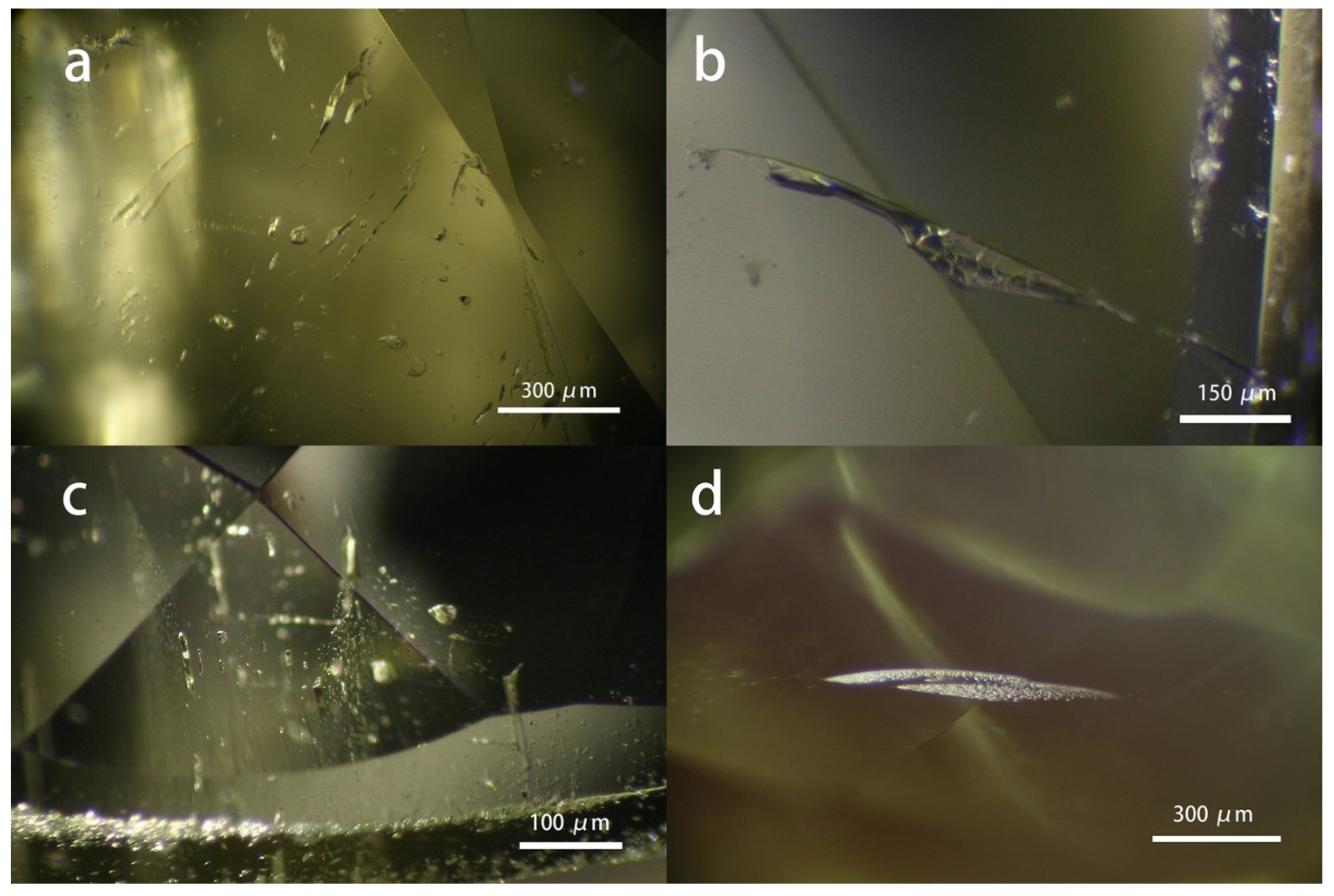 Preprints 87296 g003