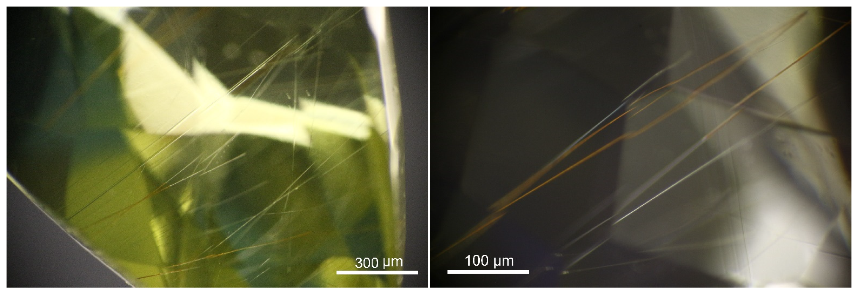 Preprints 87296 g005