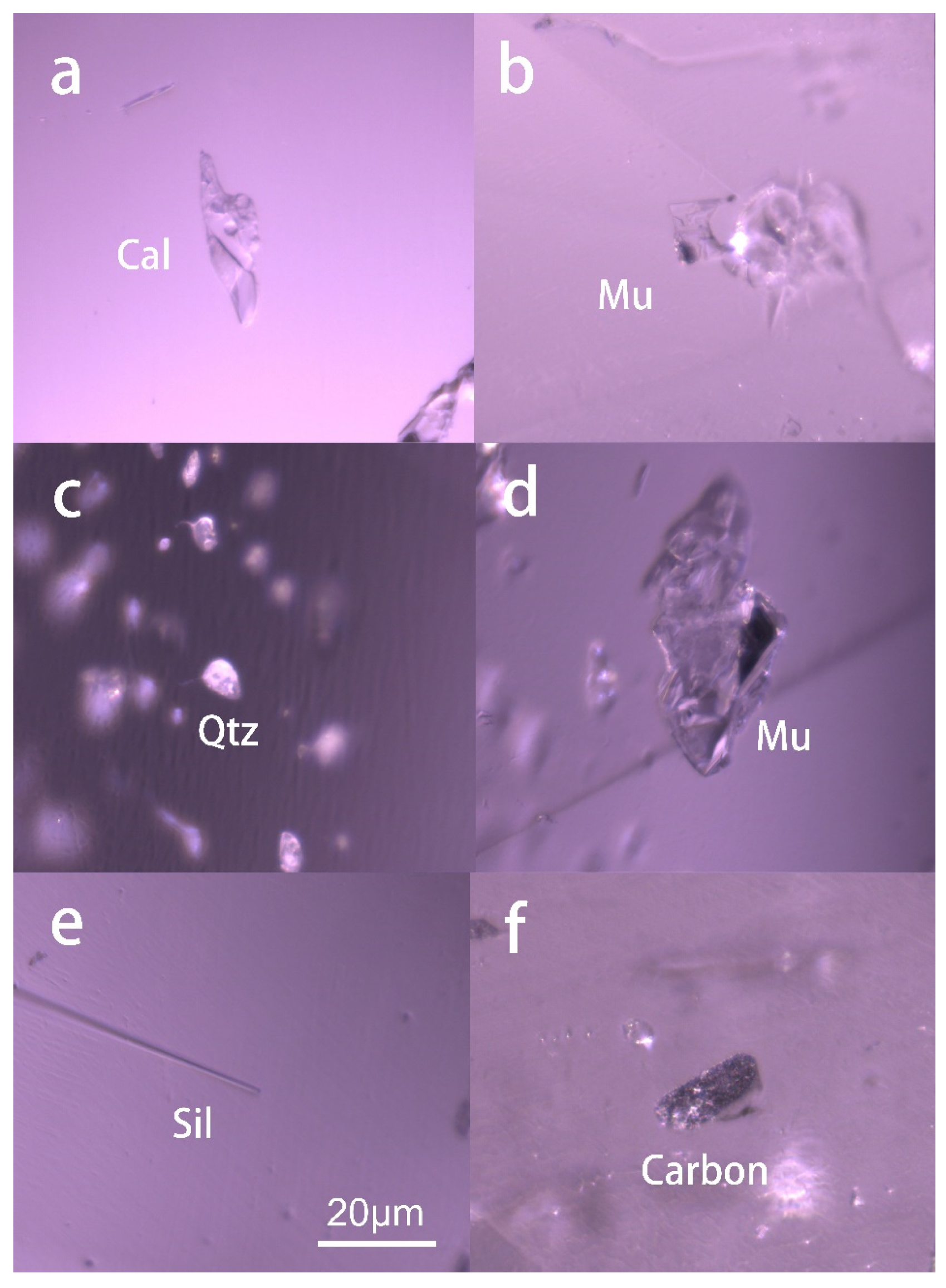 Preprints 87296 g007