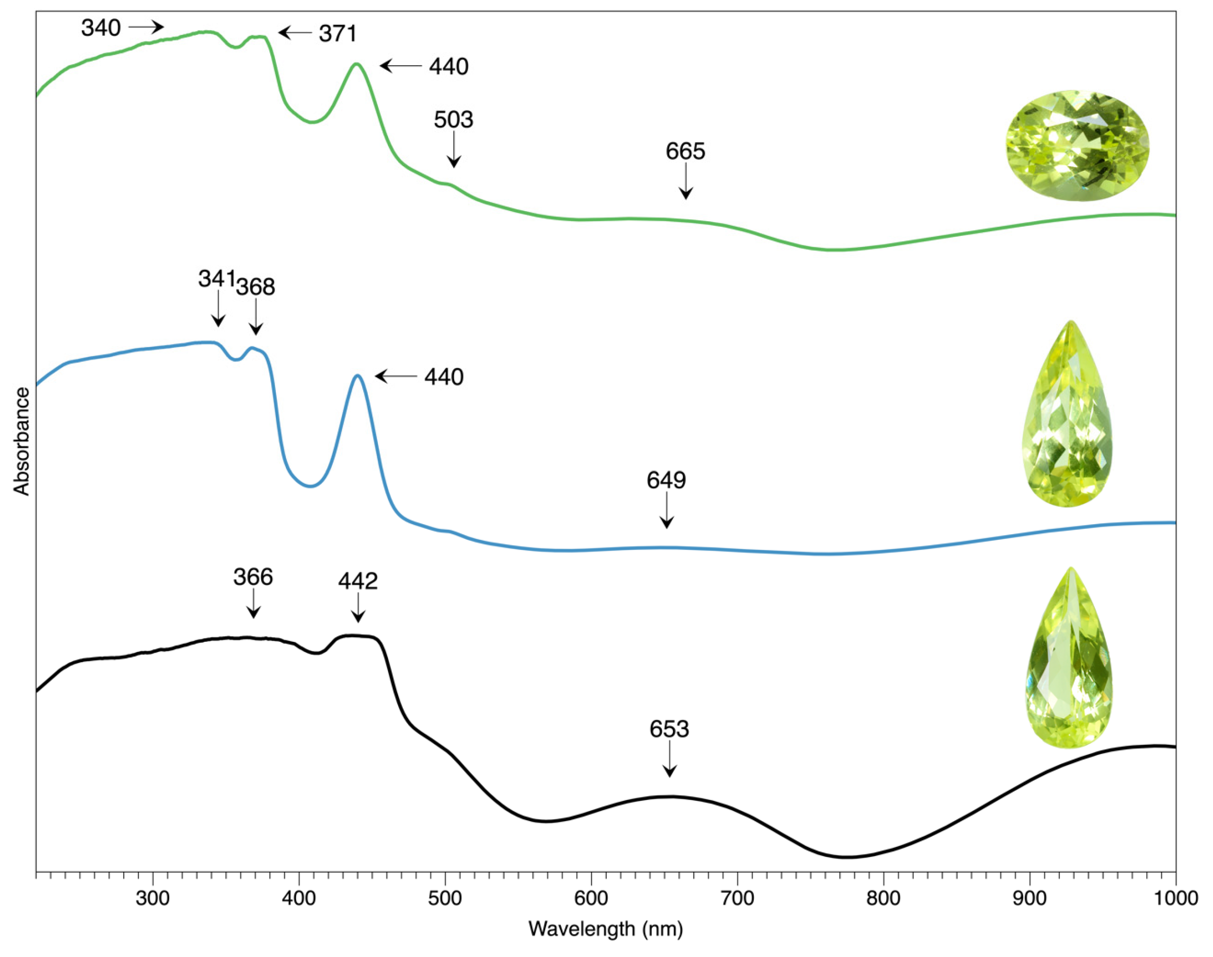 Preprints 87296 g010